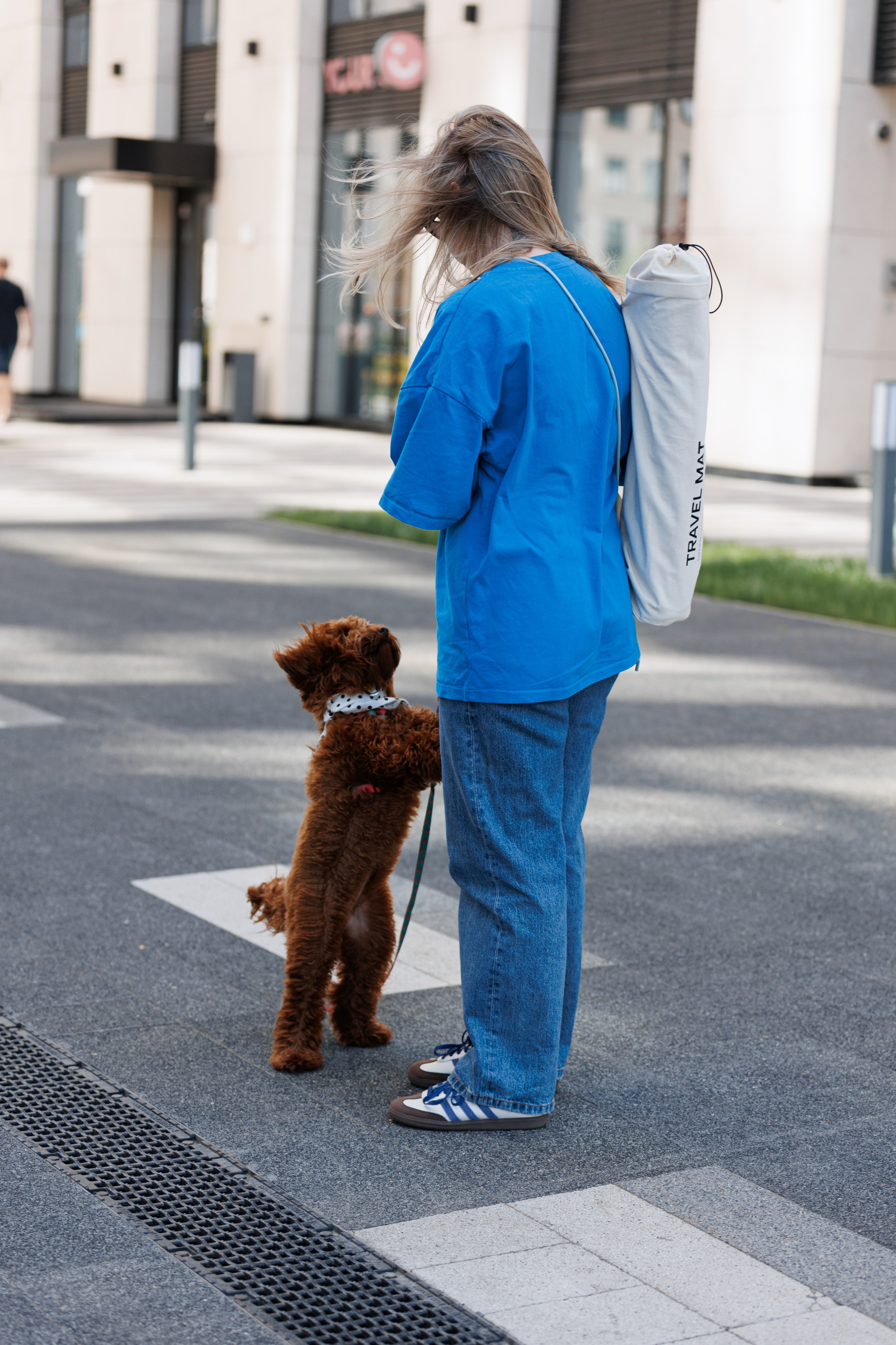 Bmbh городская. Фотограф анималист Кристина Карпова, Москва