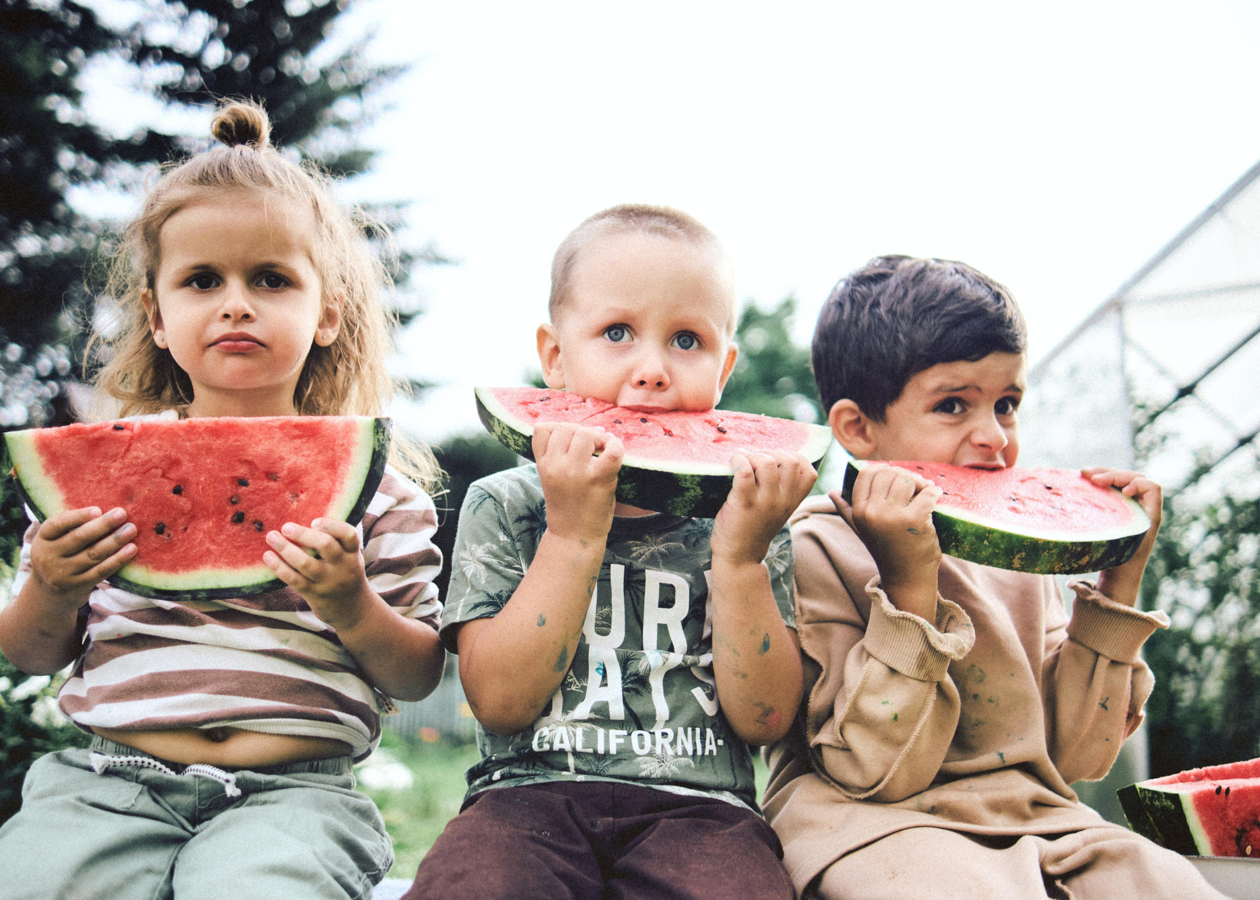 Банда. SHILOVA PHOTO. Шилова Екатерина. Фотограф. Москва