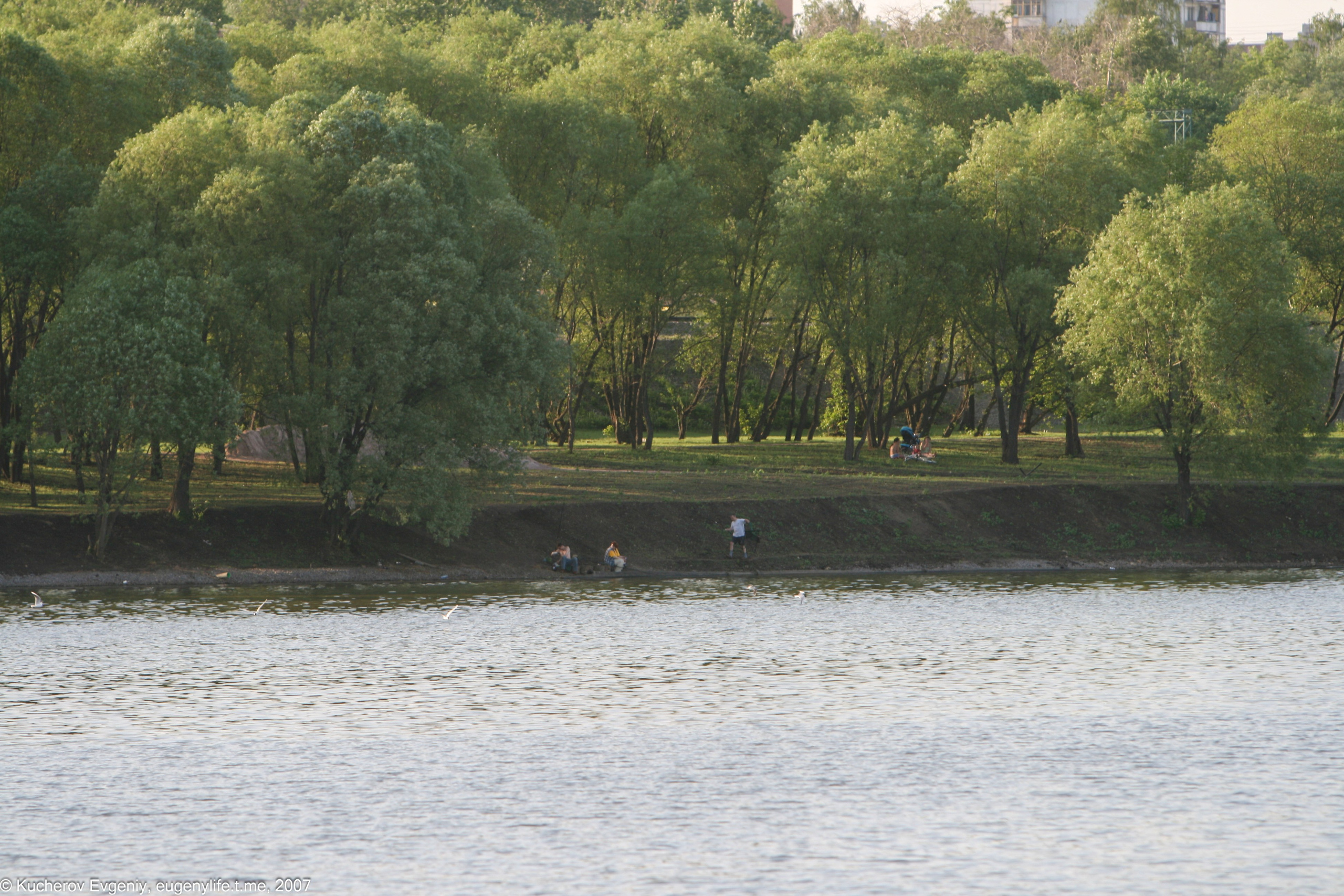 Май 2007. Царицыно. Кучеров Евгений. Фотограф