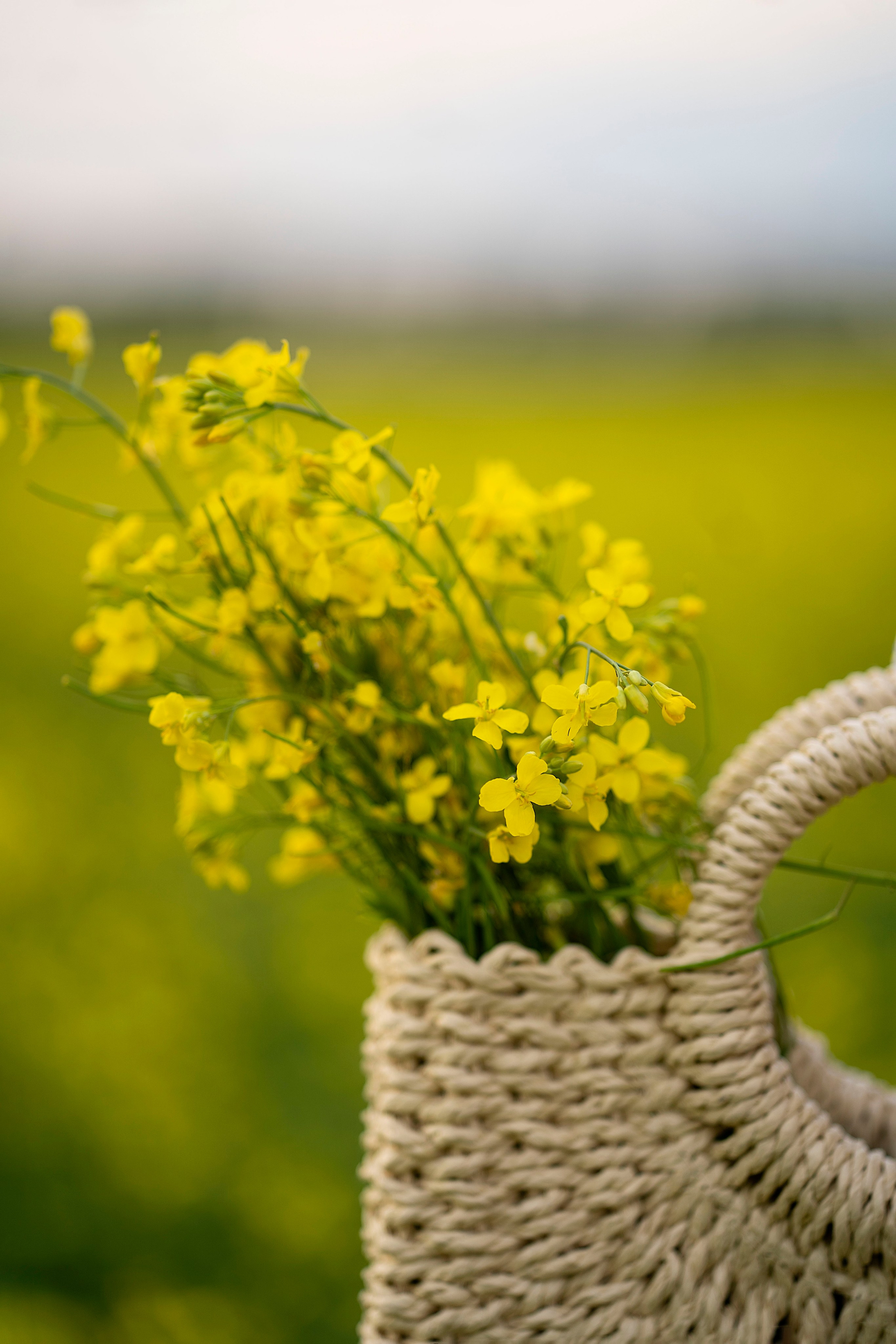 Яна. Главная