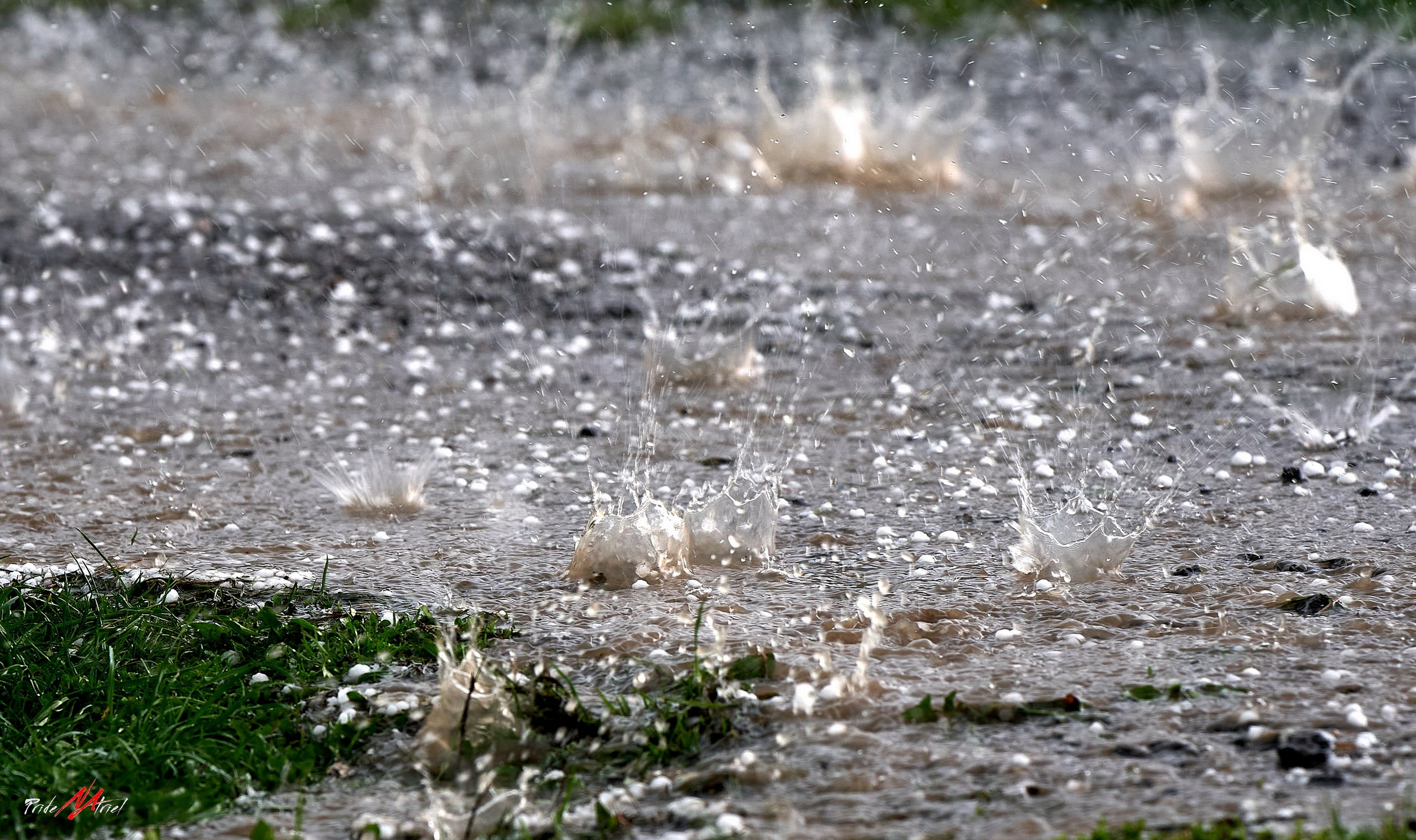 Огонь, Ветер, Вода, Земля — галерея NATRIEL