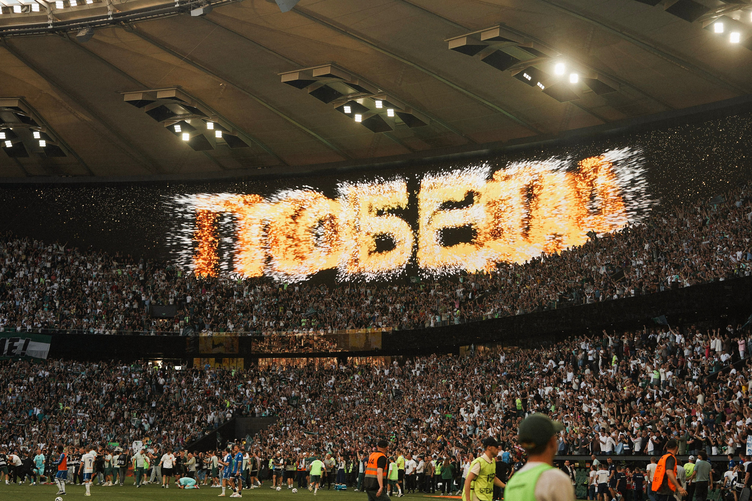 Футбольный матч Краснодар-Динамо. Фотограф с психологическим образованием