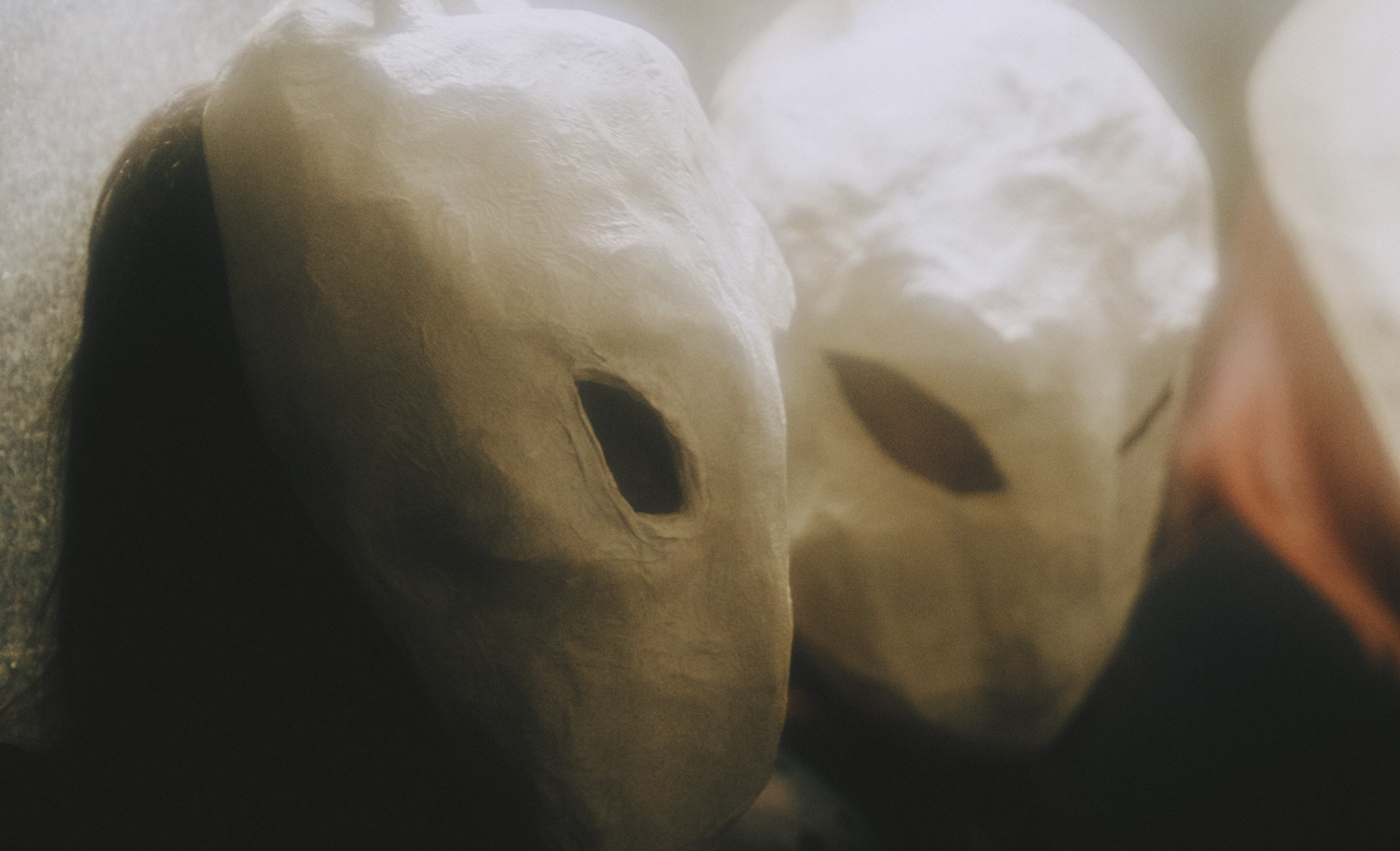 Зайцы и бабочки. Портретный фотограф в Москве Эмиль Халиков