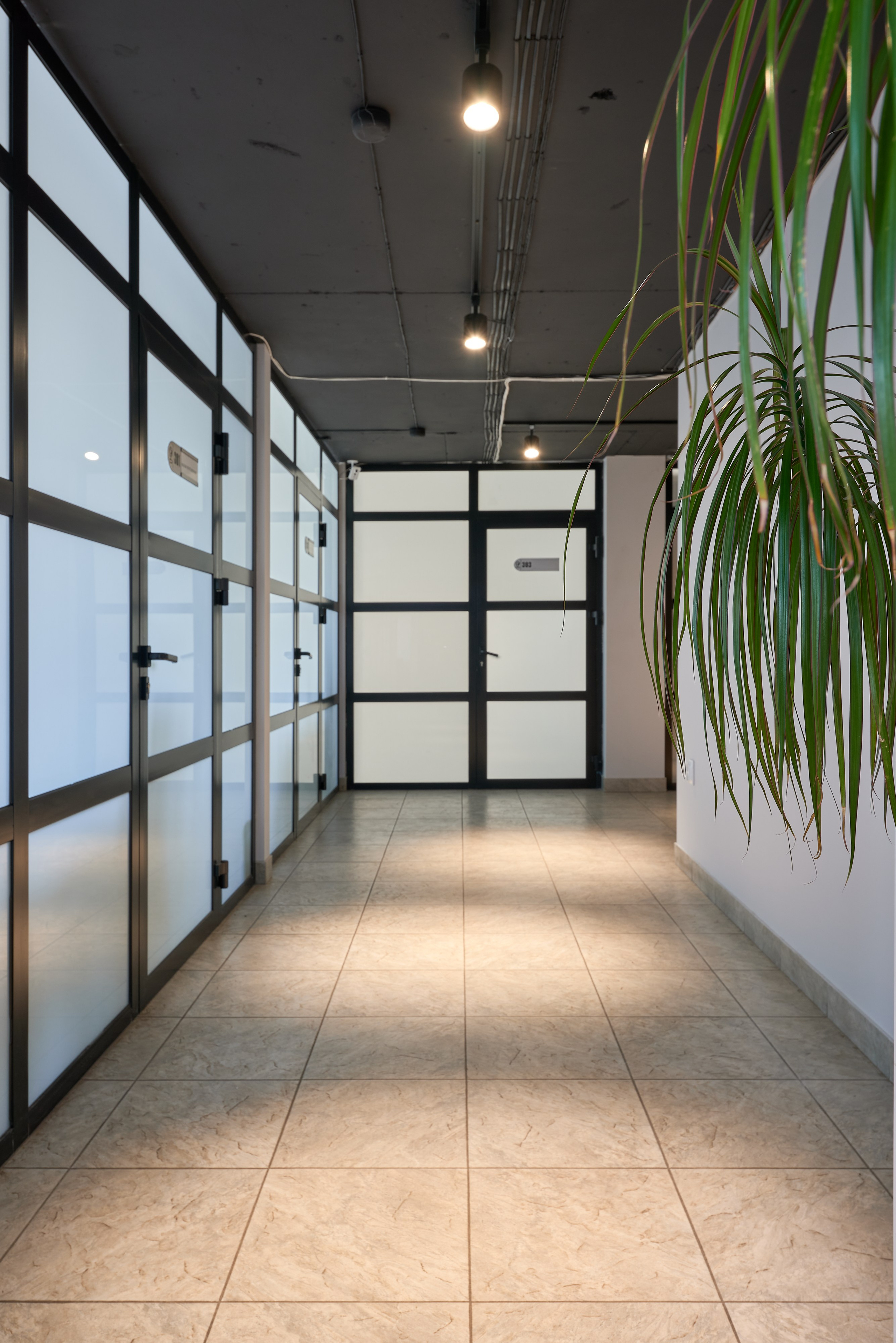 Коворкинг Здесь. Абросимов Лев интерьерный и архитектурный фотограф