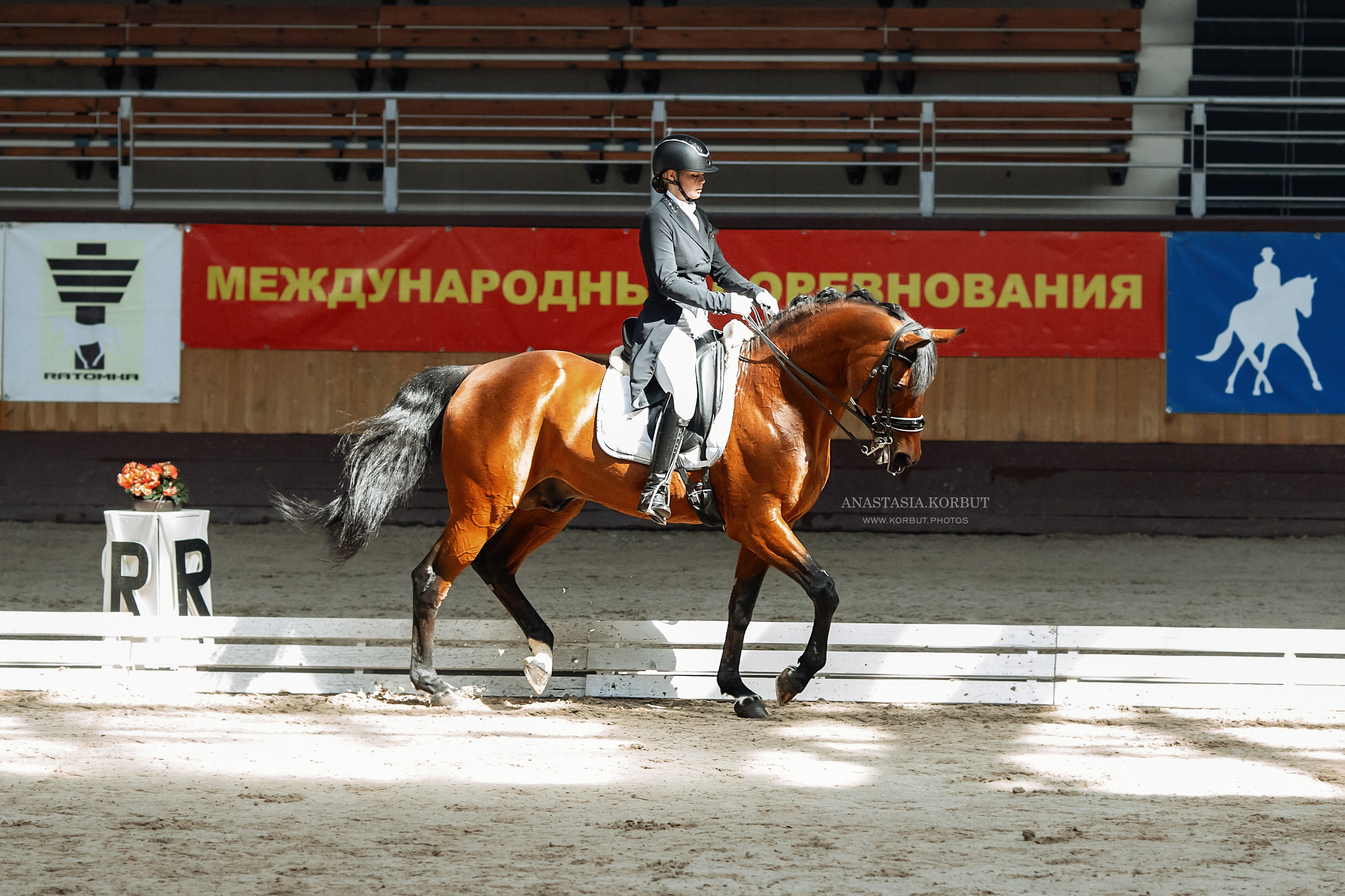 Кубок Евразии Апрель 2023. Арт фотограф в Минске Анастасия Корбут