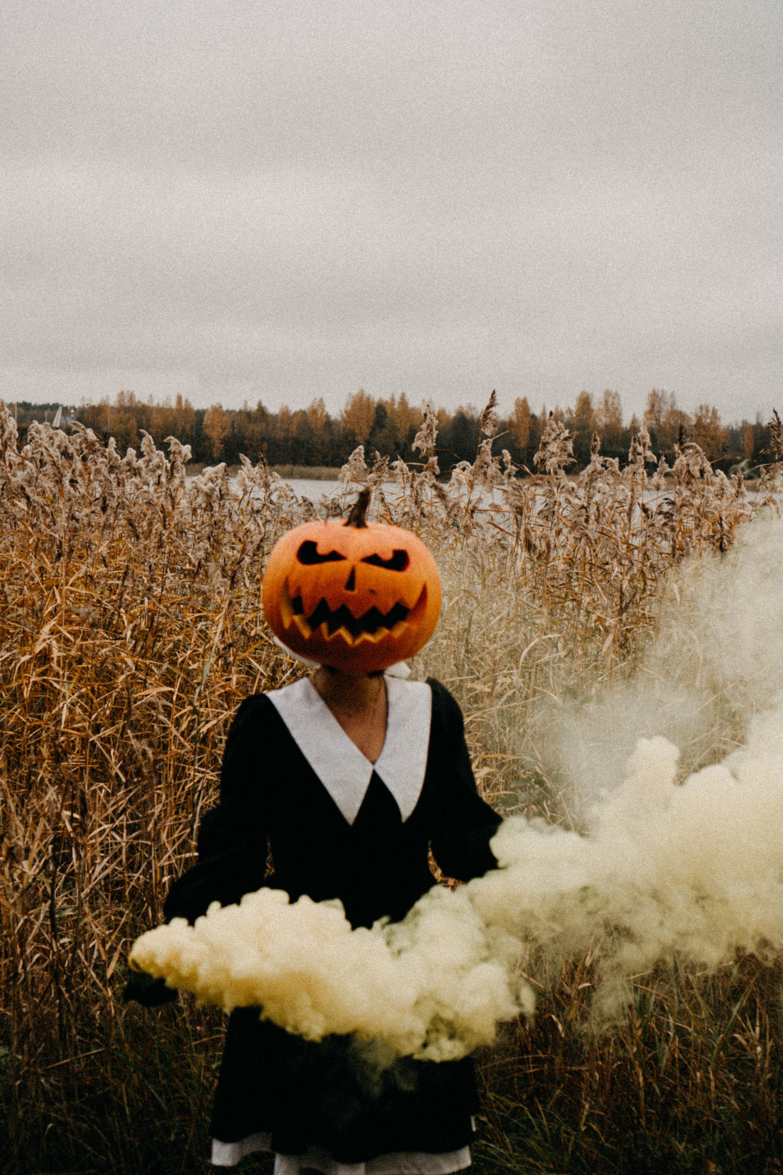 Осеняя. Профессиональный фотограф, Санкт-Петербург — Виктория Богомолова