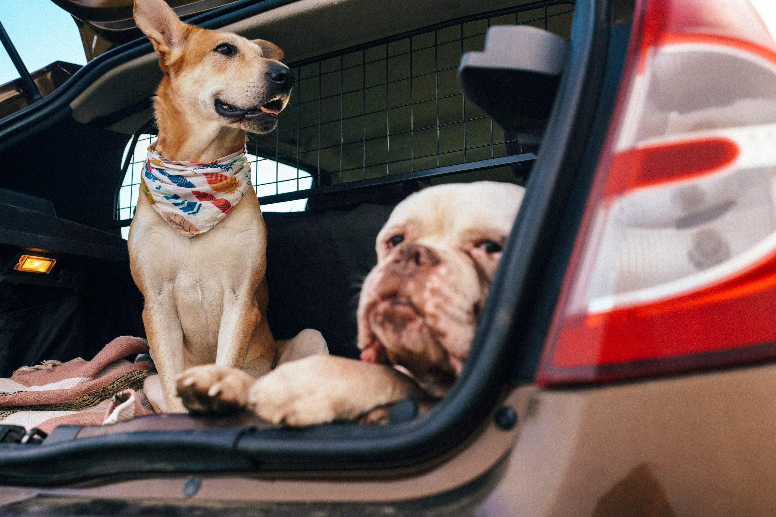 «Наша маленькая безумная семья». Фотограф Казань