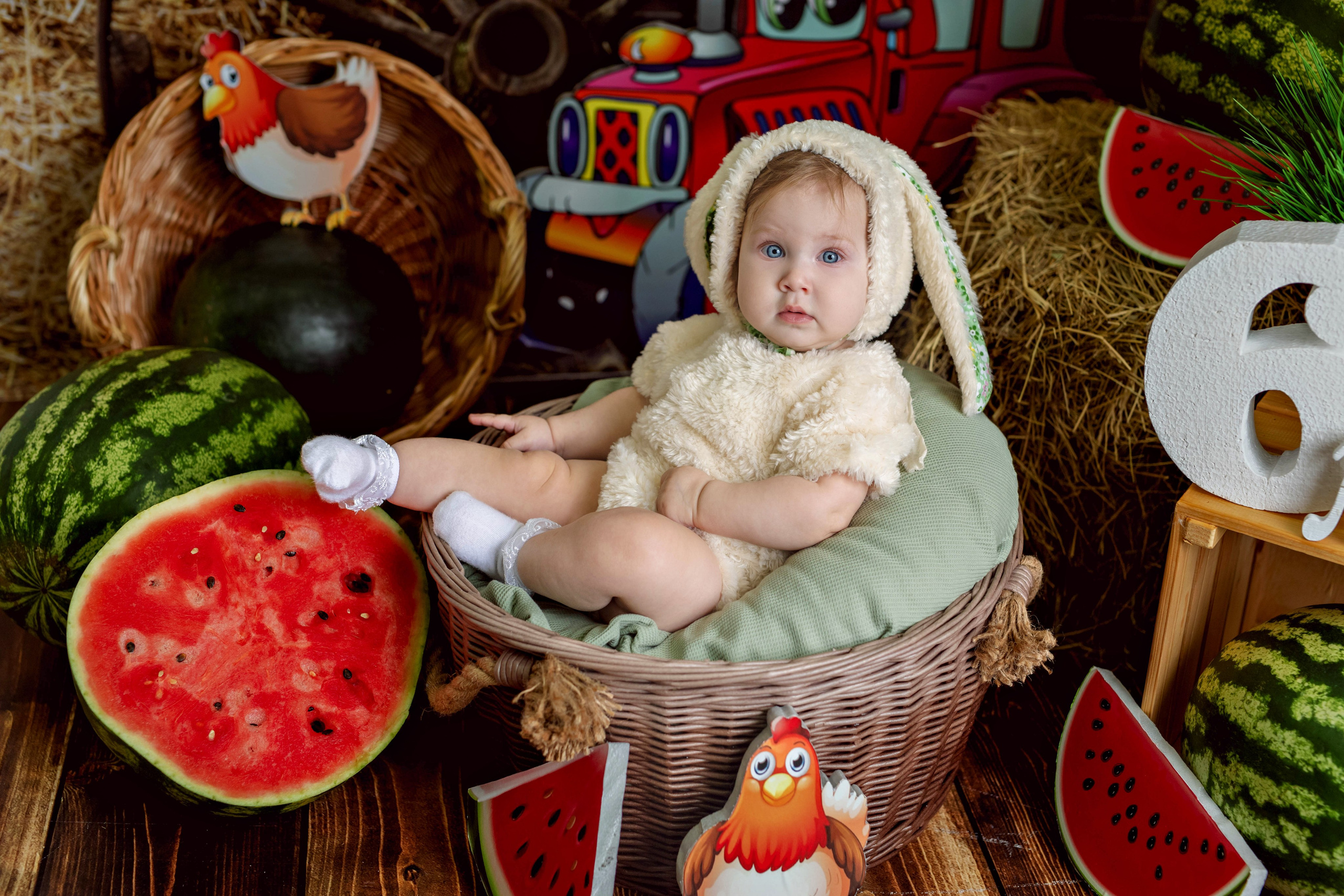 Арбузы. Фотограф Болотова Иветта
