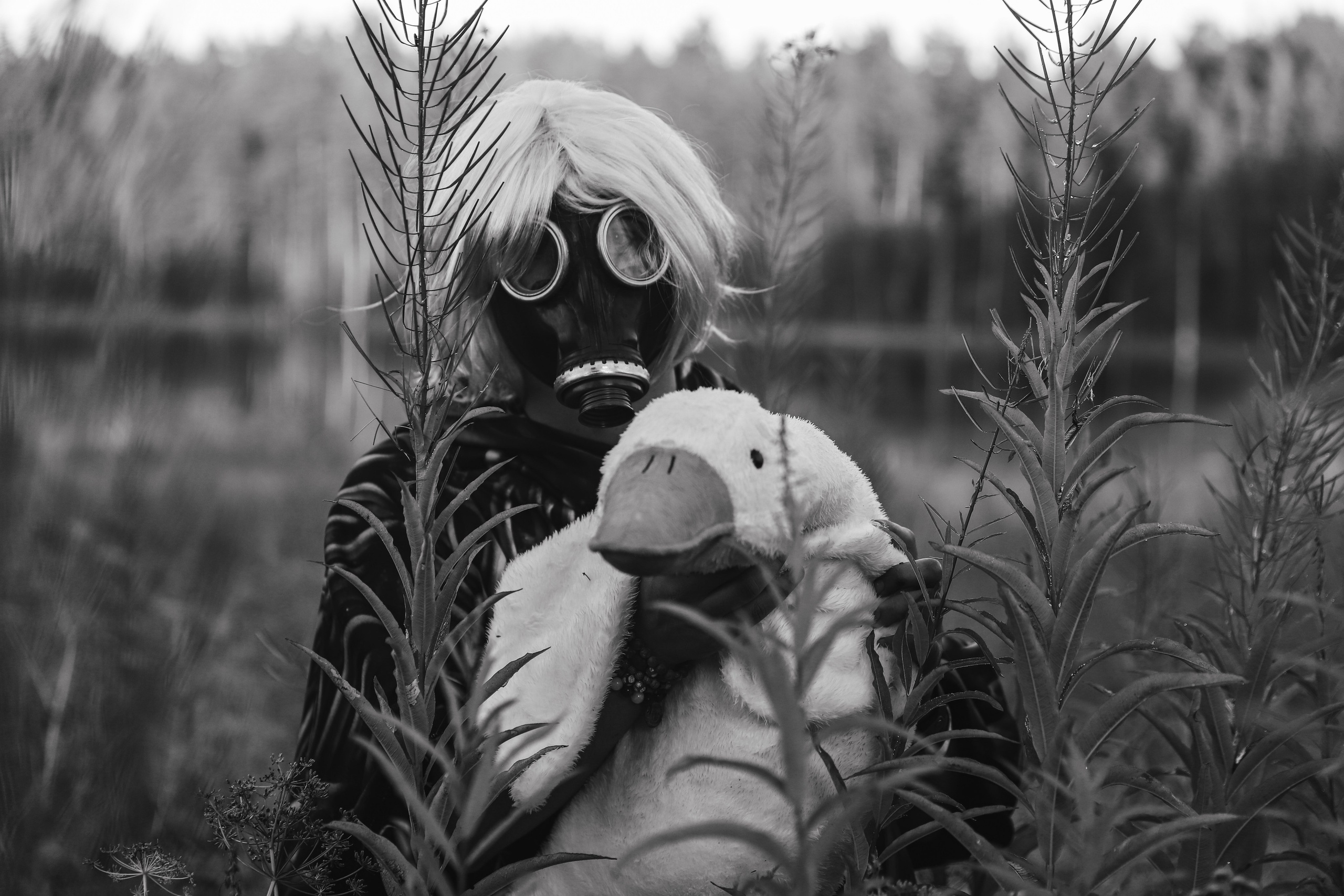 Фестиваль Жива