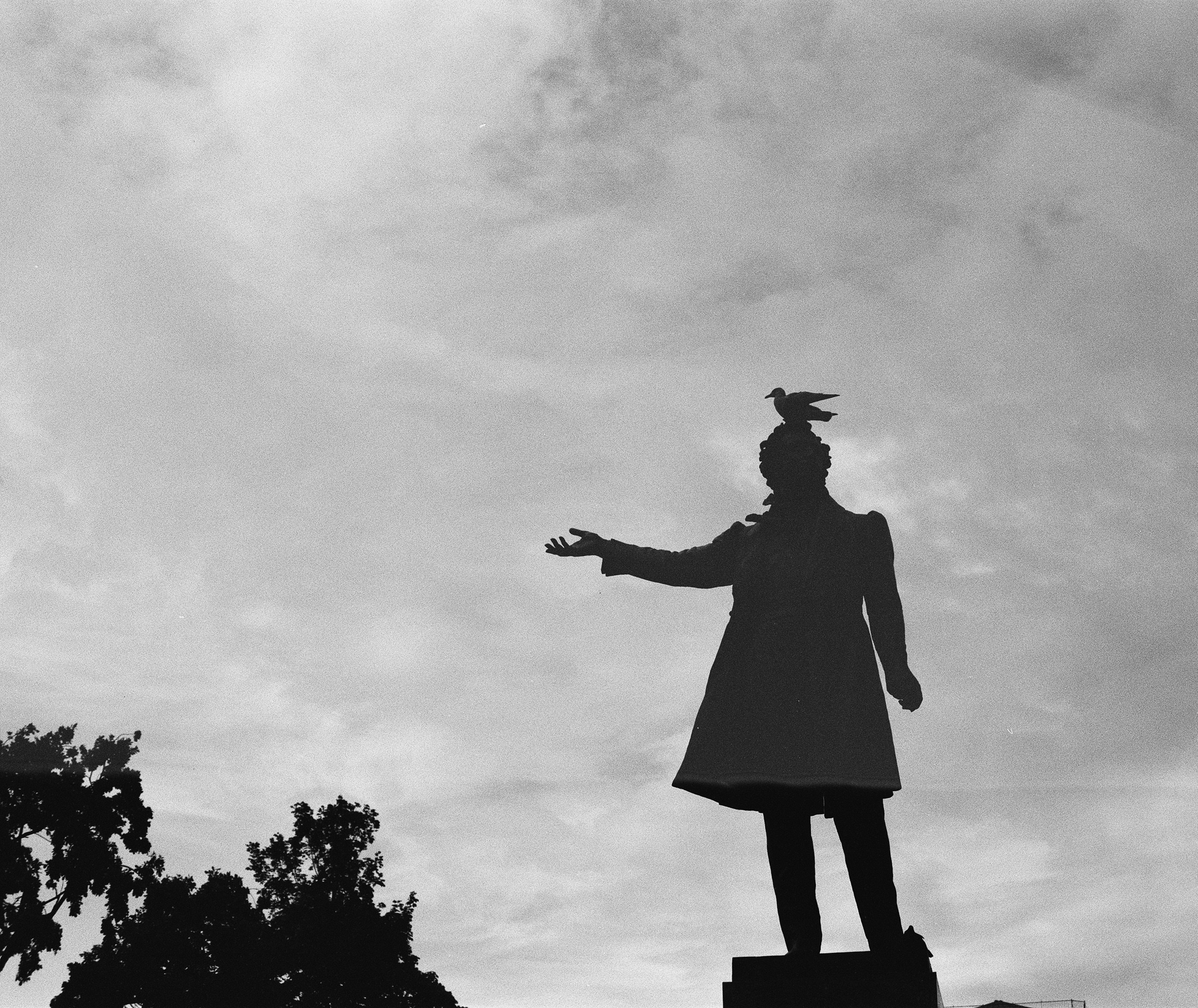 Плёнка🎞️. Фотограф в Москве Ксюшенька