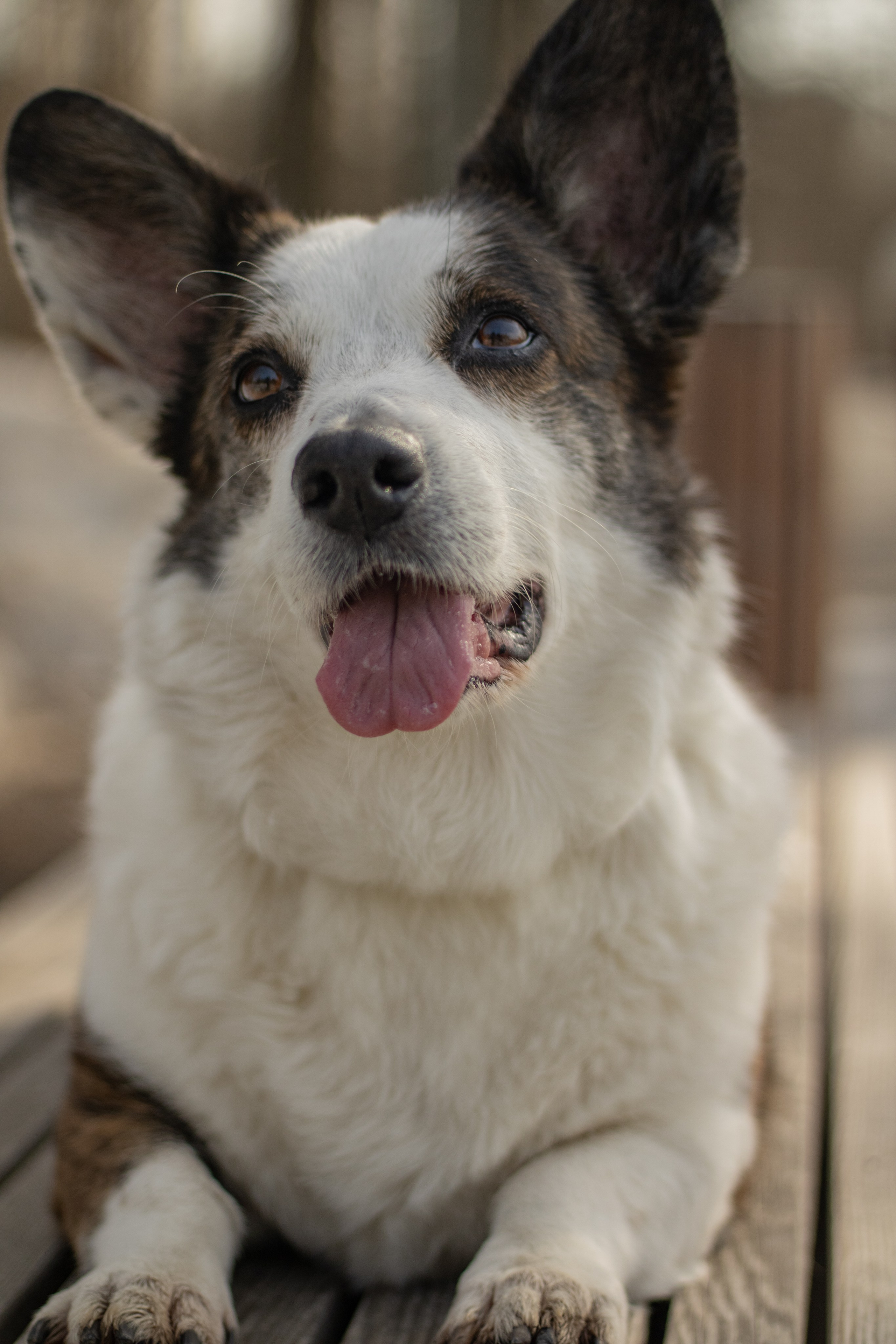 Юлия и Тэя. Катя Попова|ЛайфСтайл фотограф