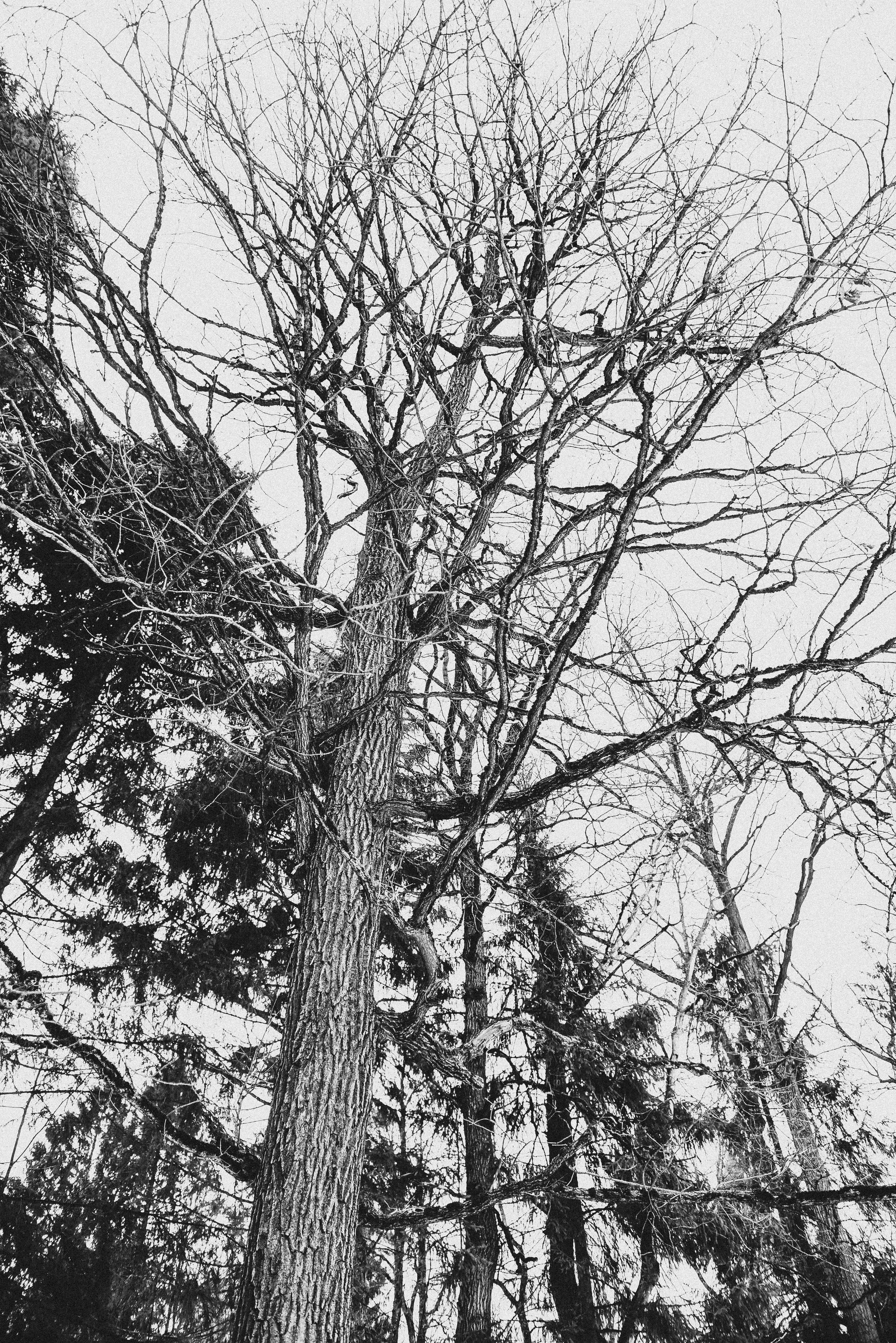 Hide backstage. Фотограф, визажист. Москва