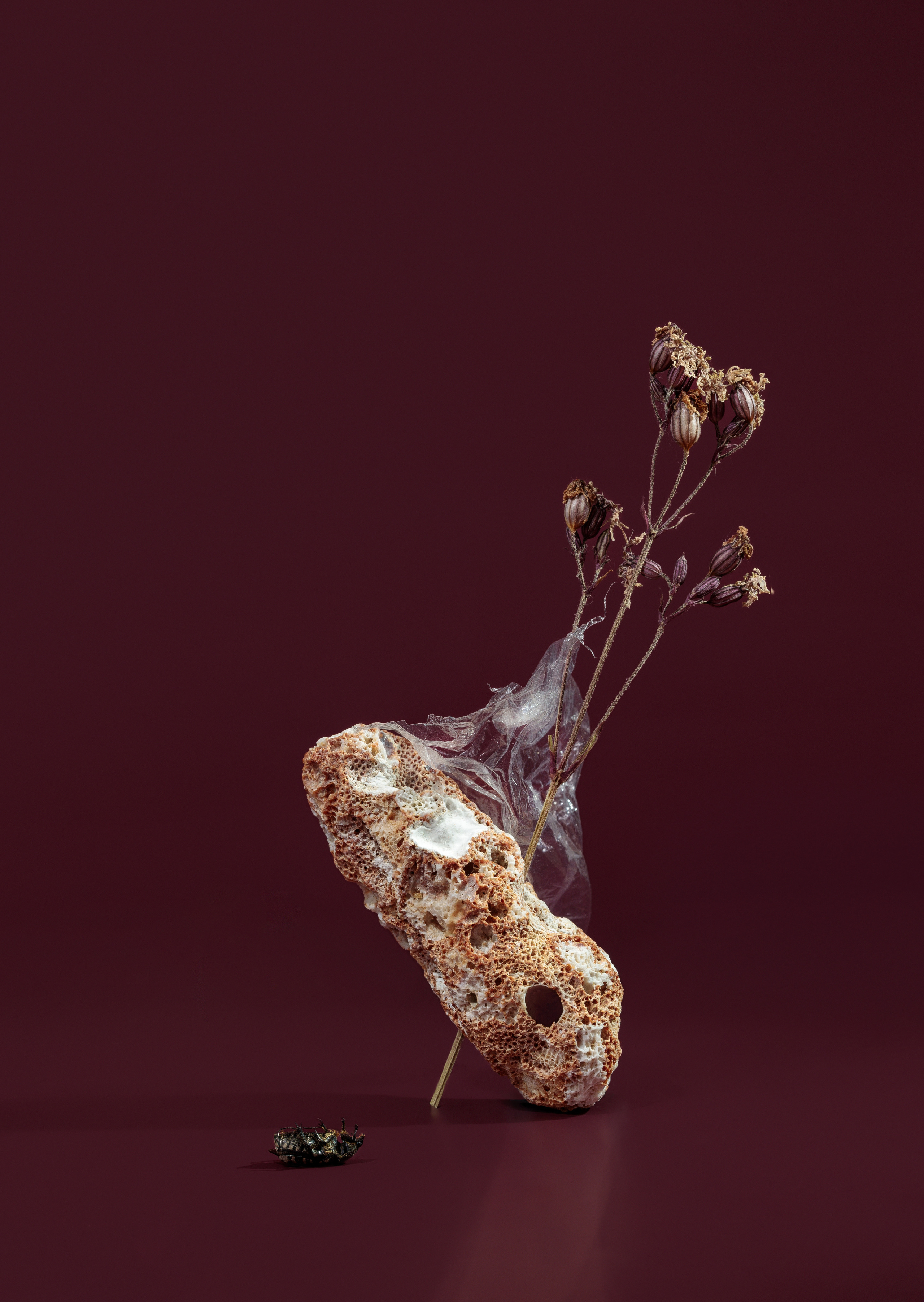 Product. Commercial product and food photographer, retoucher Belgrade, Serbia