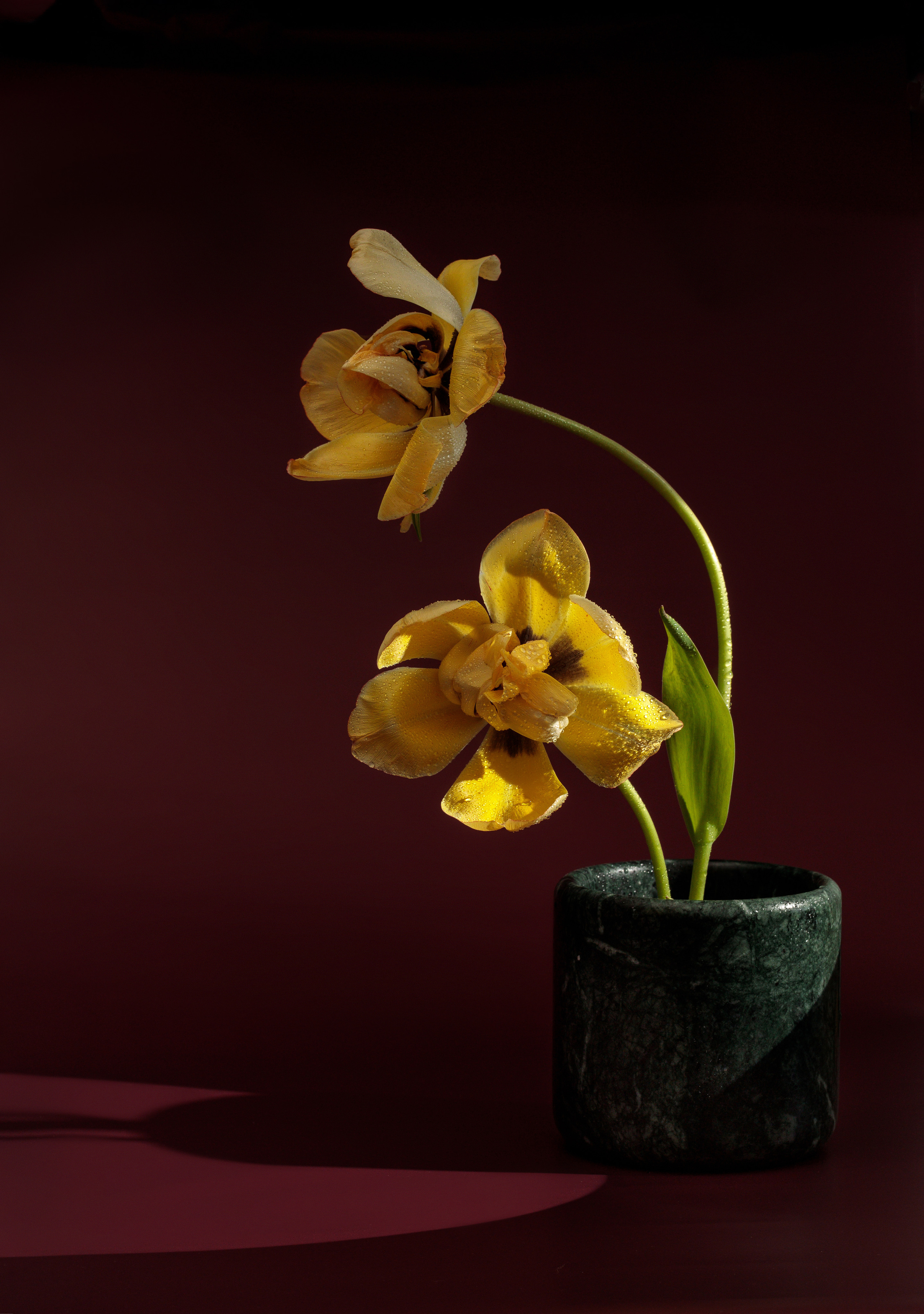 Product. Commercial product and food photographer, retoucher Belgrade, Serbia