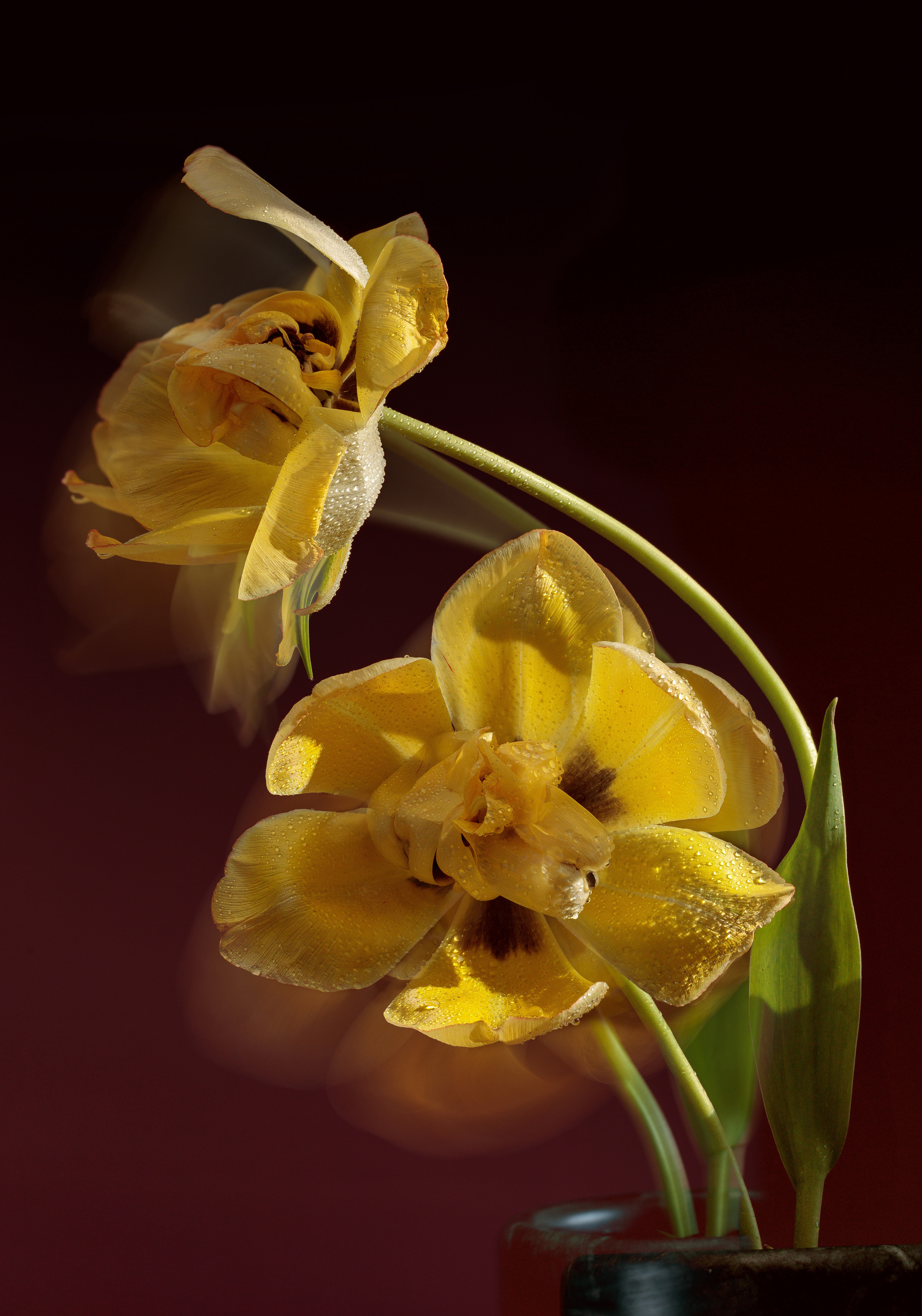 Product. Commercial product and food photographer, retoucher Belgrade, Serbia