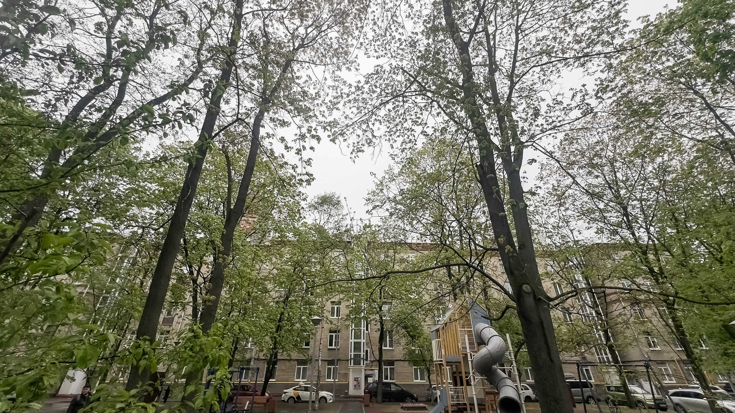 Квартира ботанический сад. Профессиональный фотограф Инесса Новикова в Москве