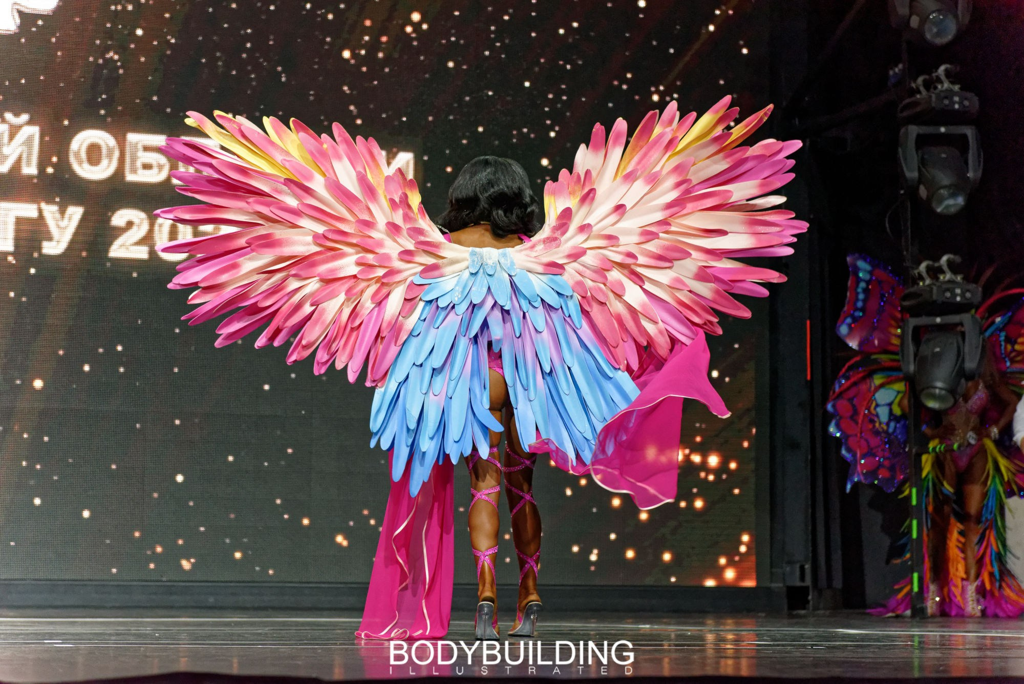 Bodybuilding Illustrated