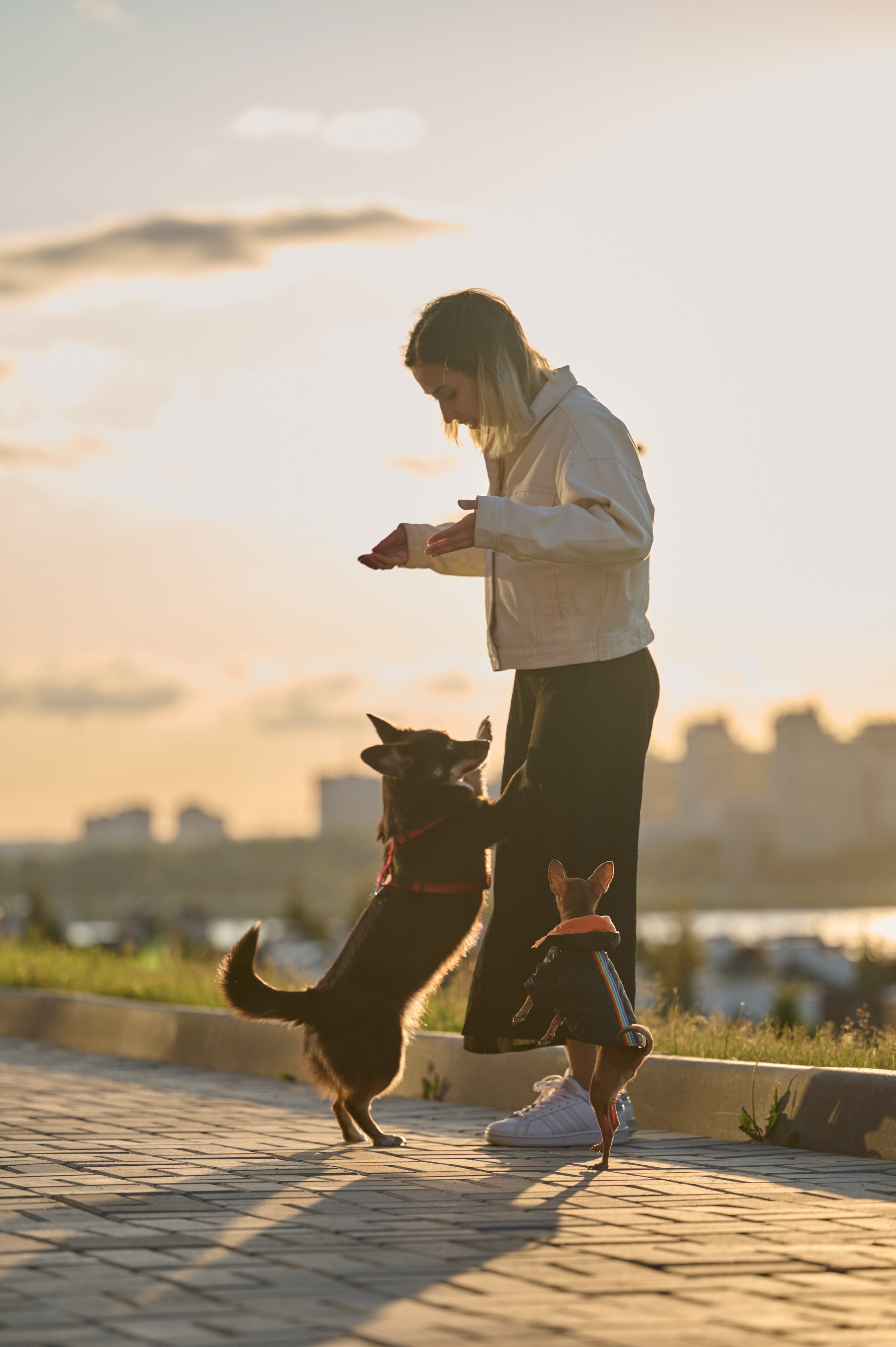 Ренита и Егор с Фокси и Пени. Фотограф анималист в Казани Алина Сулейманова. Фотограф животных