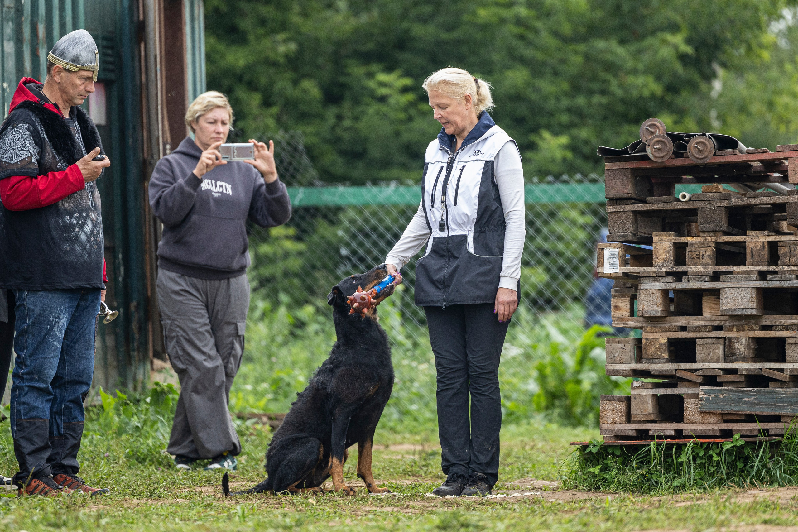 Соревнования по Мондьорингу г. Вологда 10-11.08.2024. Фотограф-анималист Анна Маринич