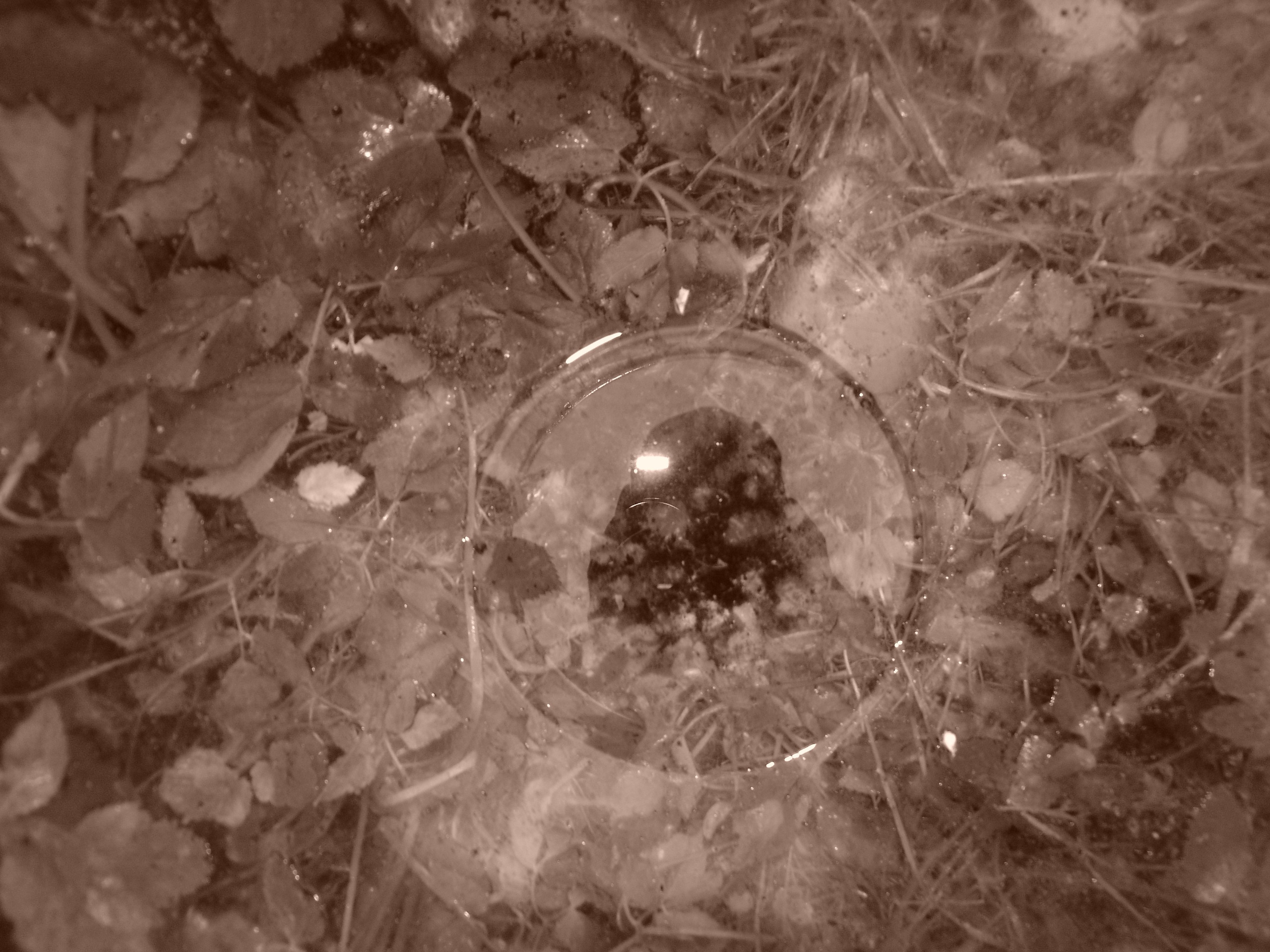 Приезд КС 2005. Заставка