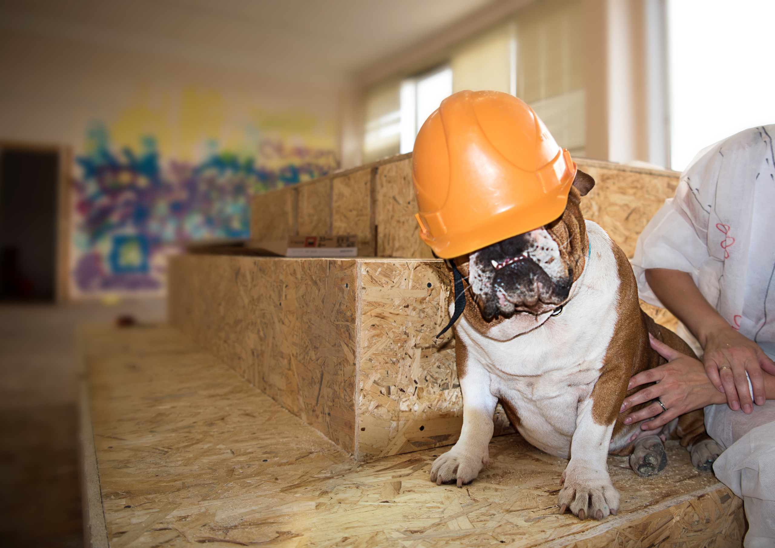 Ремонт со Стахановыми. Фотограф Юлия Исаева