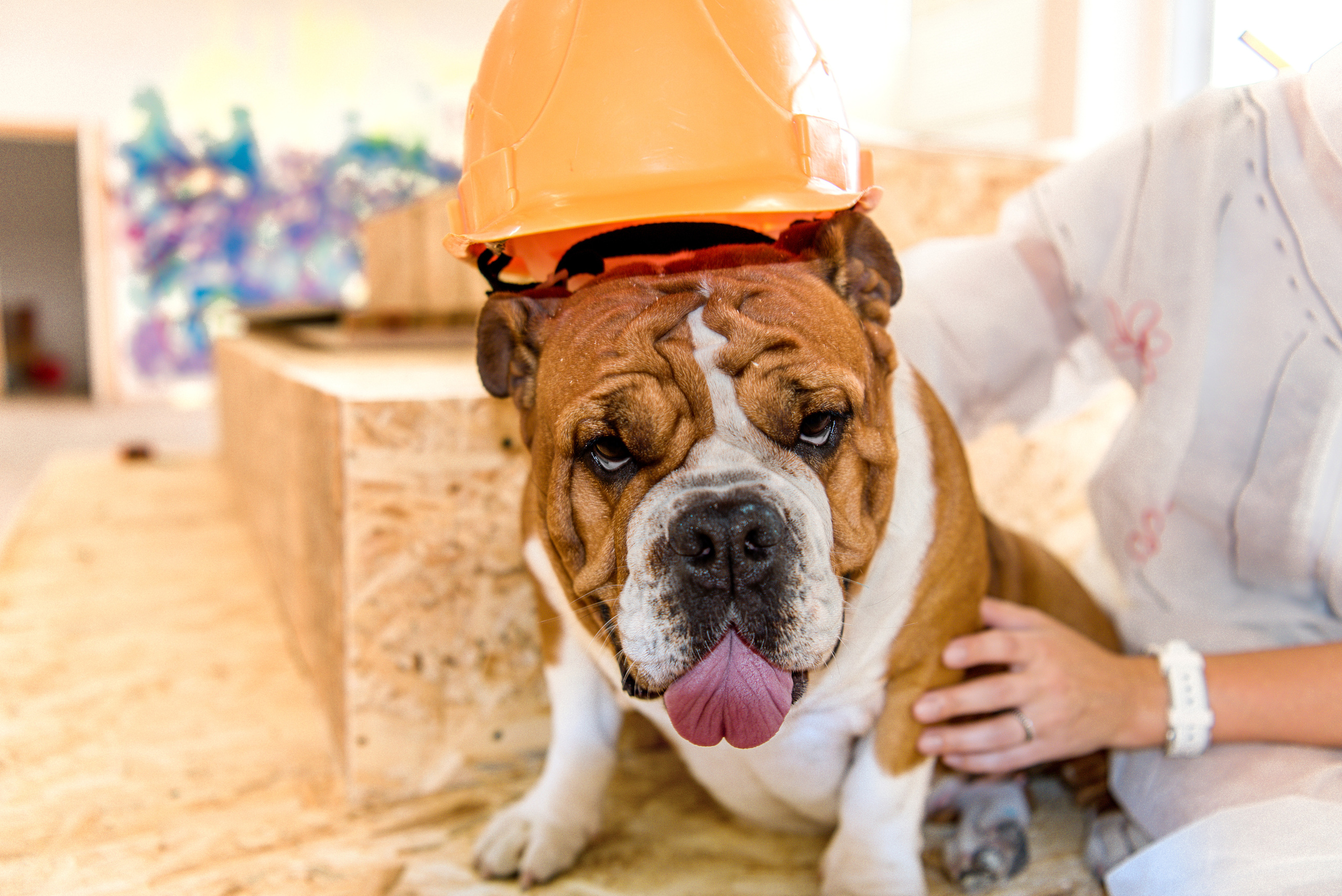 Ремонт со Стахановыми. Фотограф Юлия Исаева