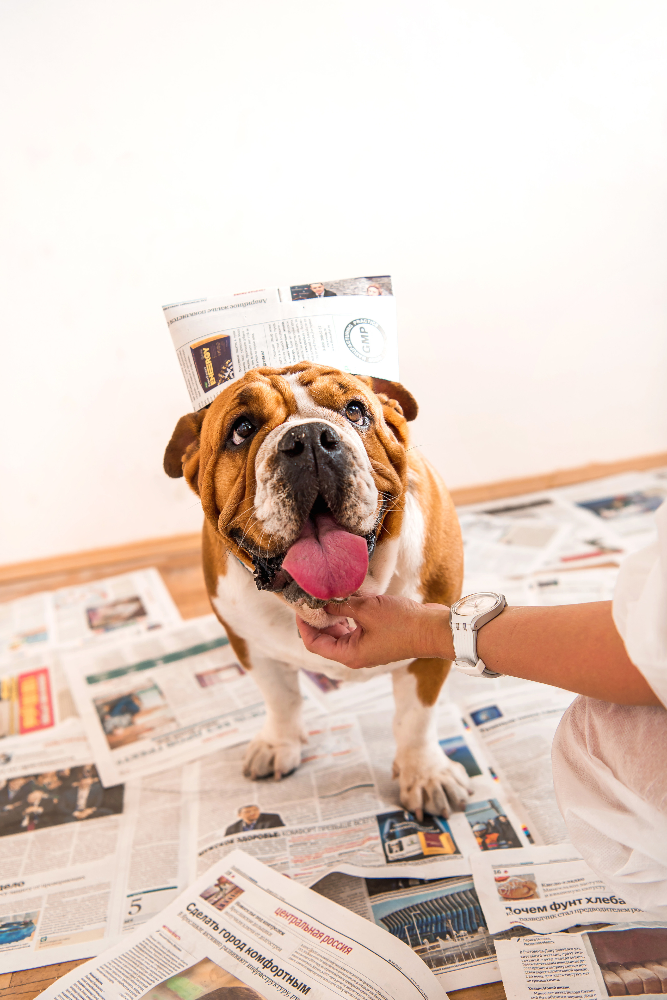 Ремонт со Стахановыми. Фотограф Юлия Исаева