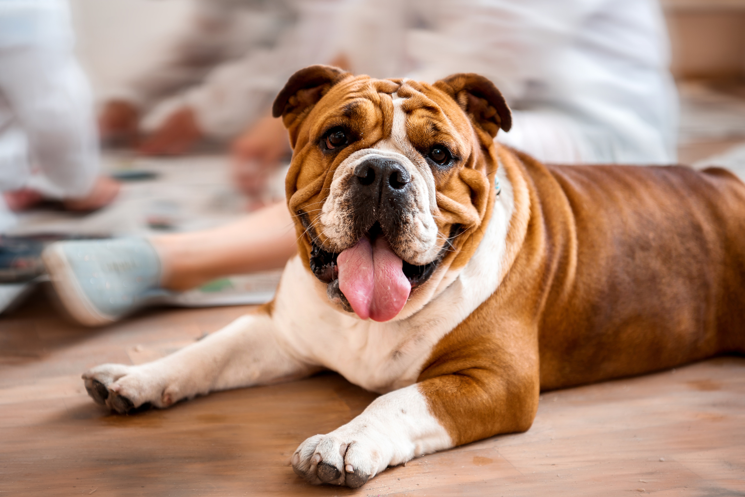 Ремонт со Стахановыми. Фотограф Юлия Исаева