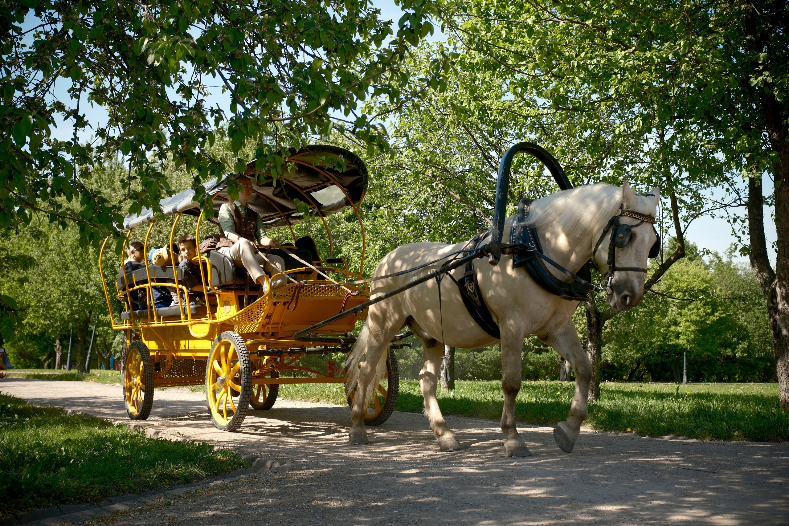 Улица, люди, жизнь…