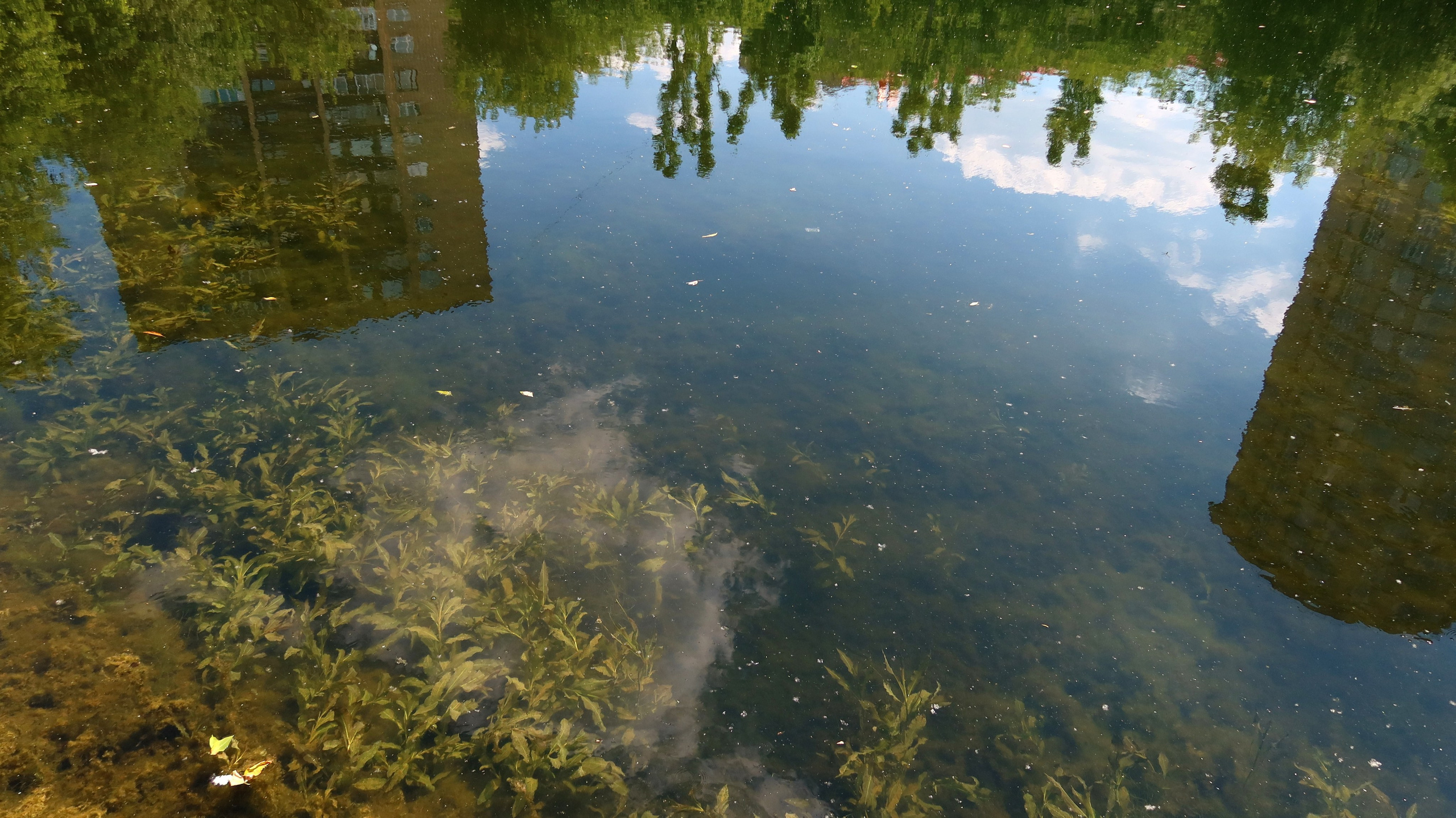 Антроповский сквер. Улица, люди, жизнь…