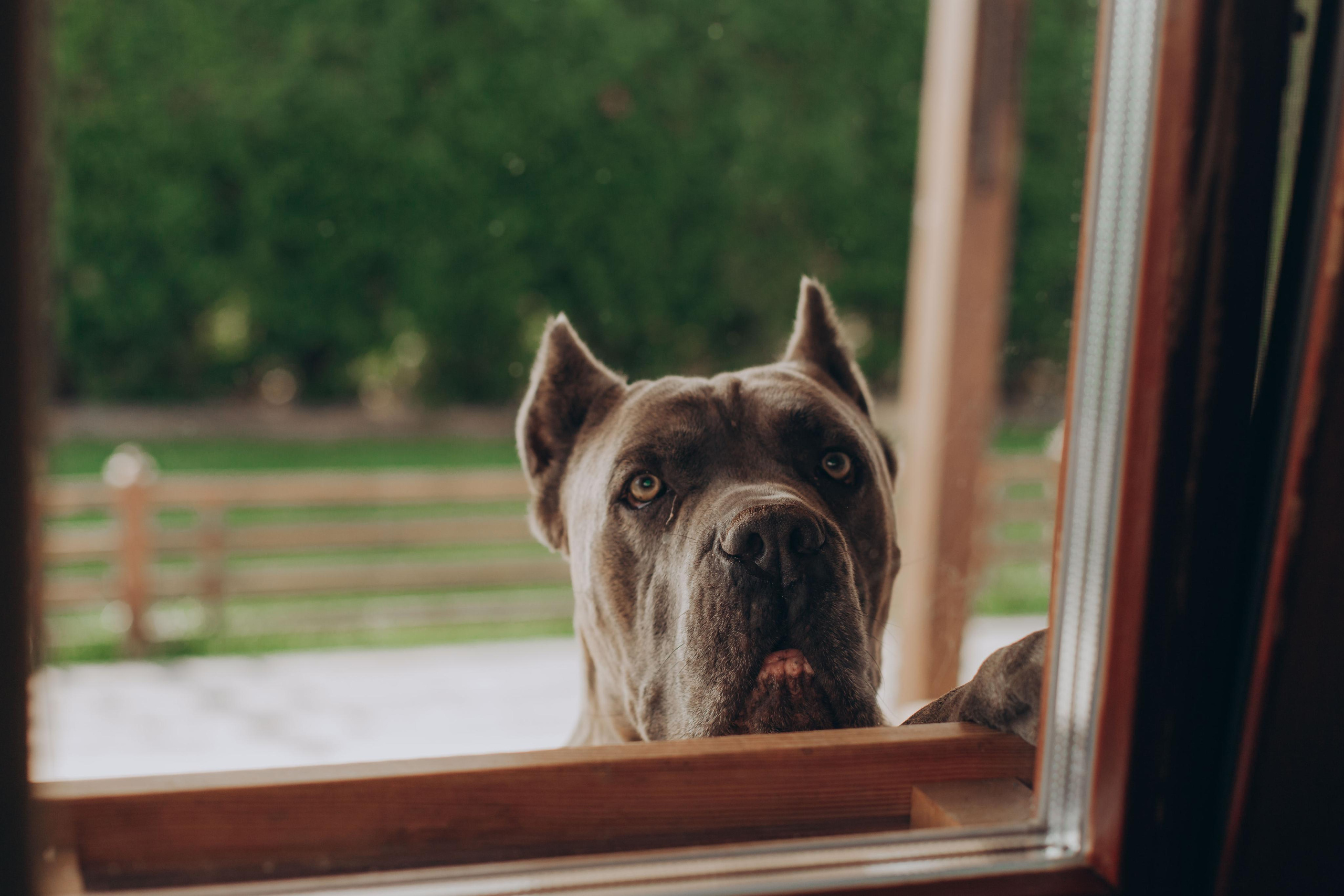 Домашние фотоссессии Всеволожск. Семейный и детский фотограф во Всеволосжке Людмила Квасова