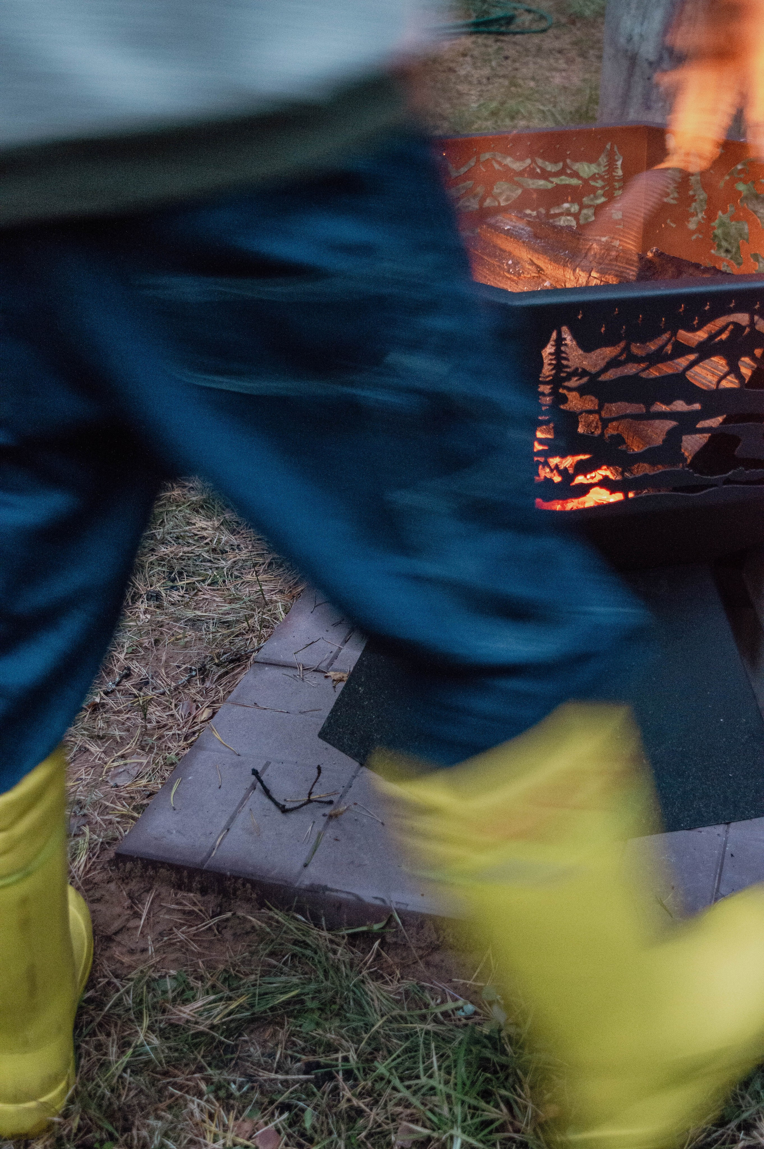 Weekend в лесу. Фотограф Анастасия Лощакова в Москве