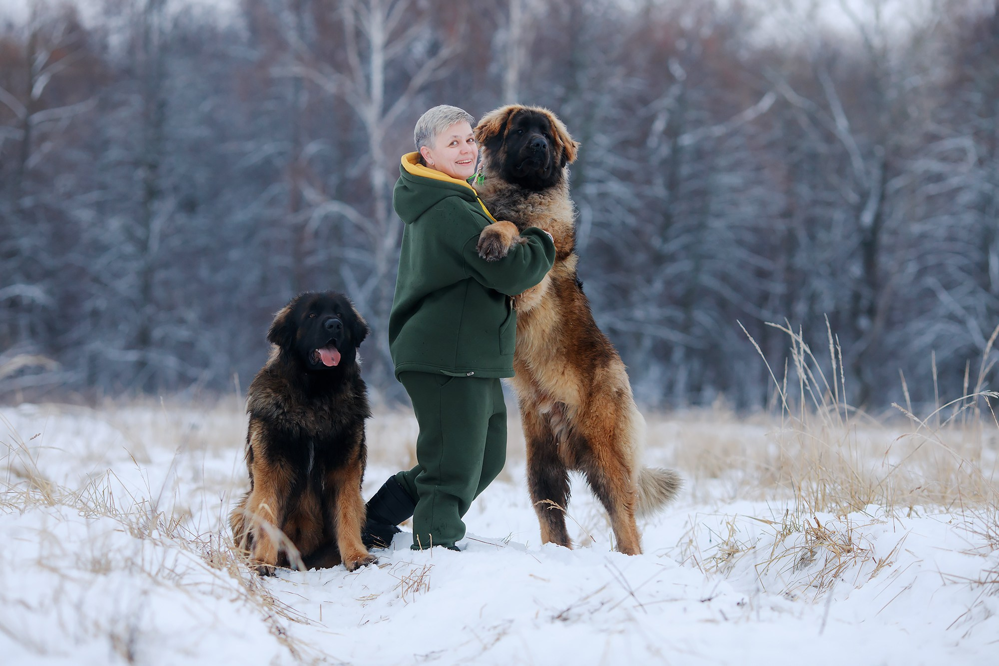 Леоненбергеры. Фотограф-анималист Mary Mart — Москва, Питер