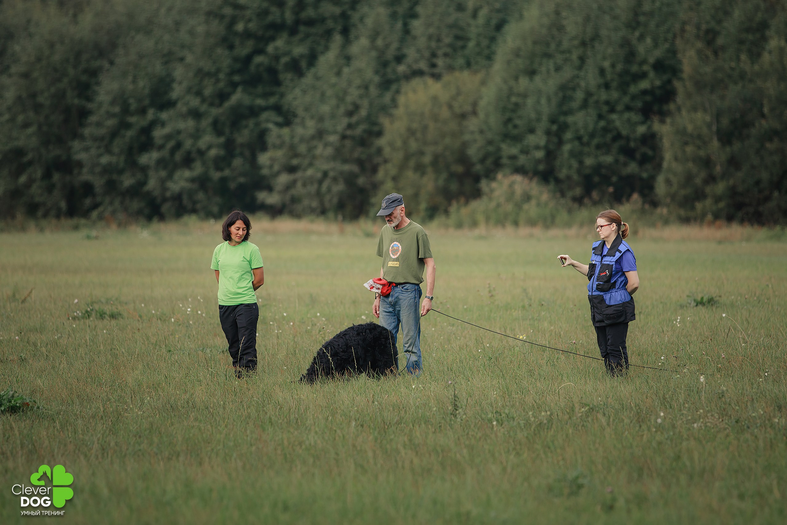 Кинологический лагерь CleverDog, 2024. Фотограф-анималист Mary Mart — Москва, Питер