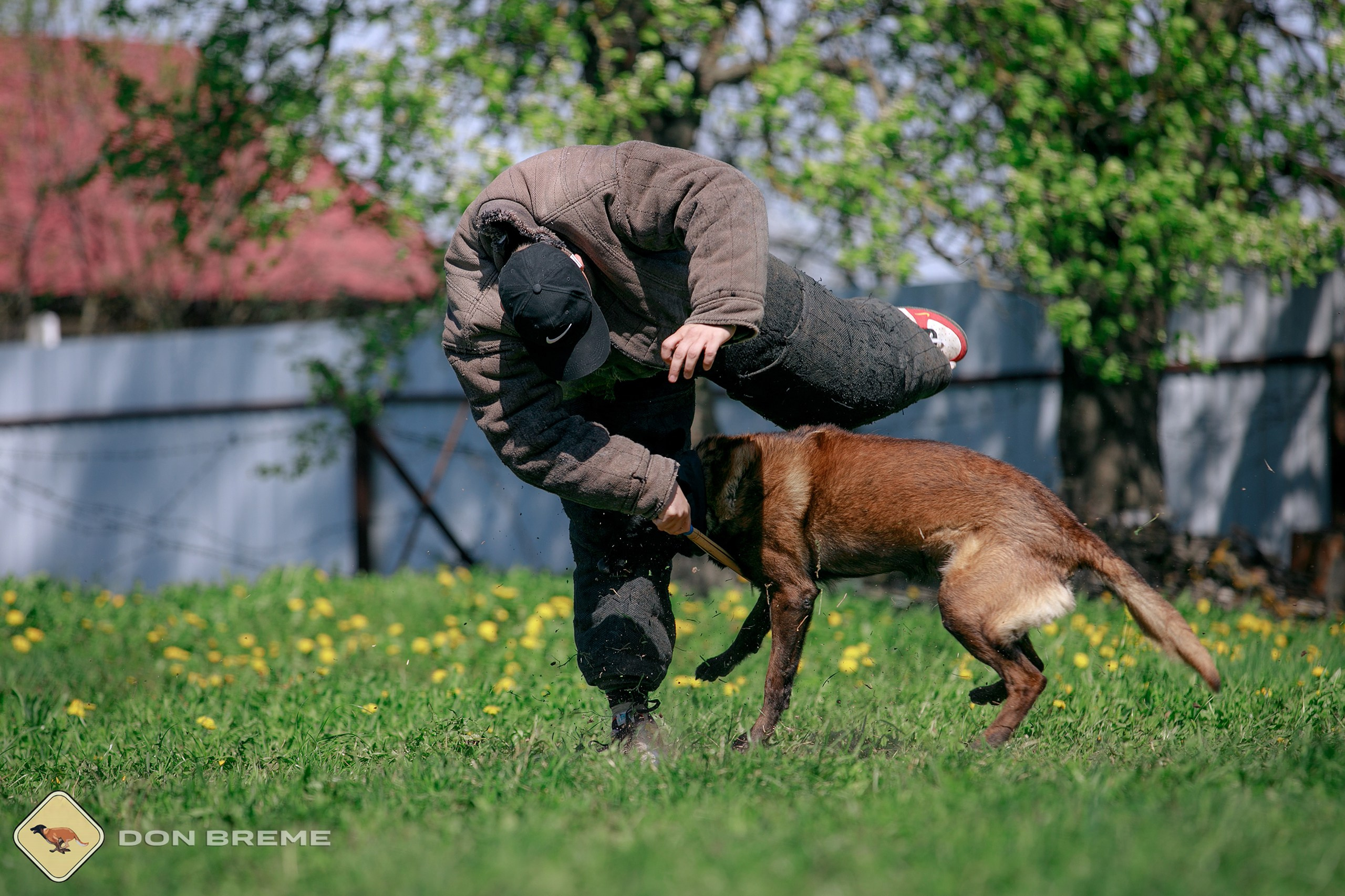 Семинар для фигурантов, день 4. Фотограф-анималист Mary Mart — Москва, Питер
