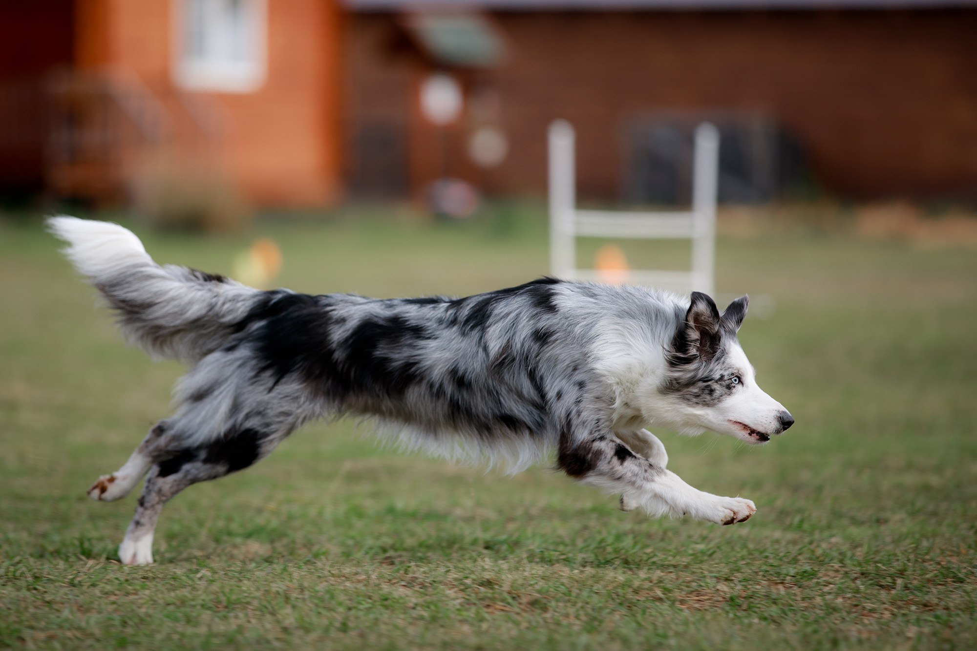 Лагерь по ОБД с Инной Баженовой. Фотограф-анималист Mary Mart — Москва, Питер