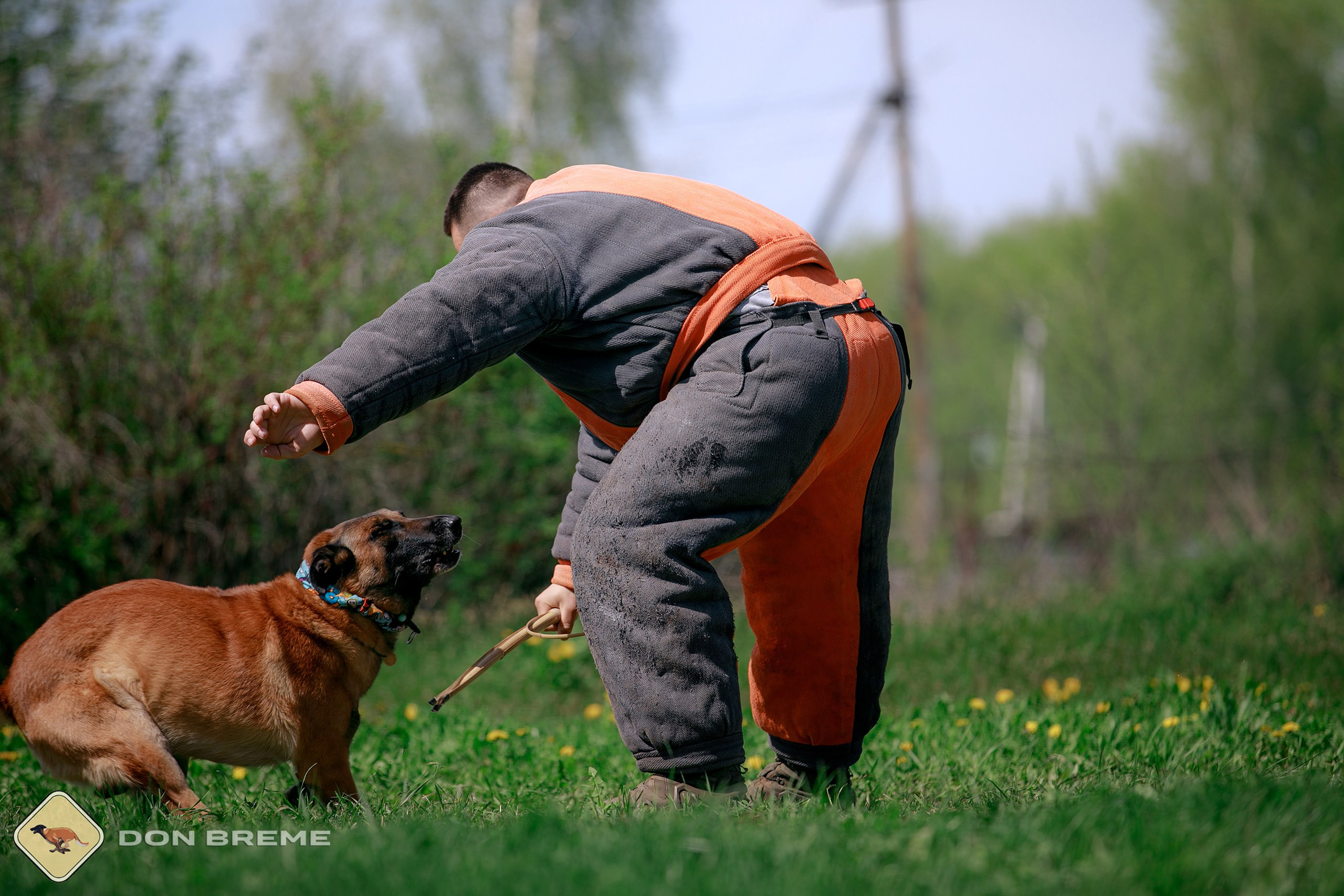 Семинар для фигурантов, день 4. Фотограф-анималист Mary Mart — Москва, Питер