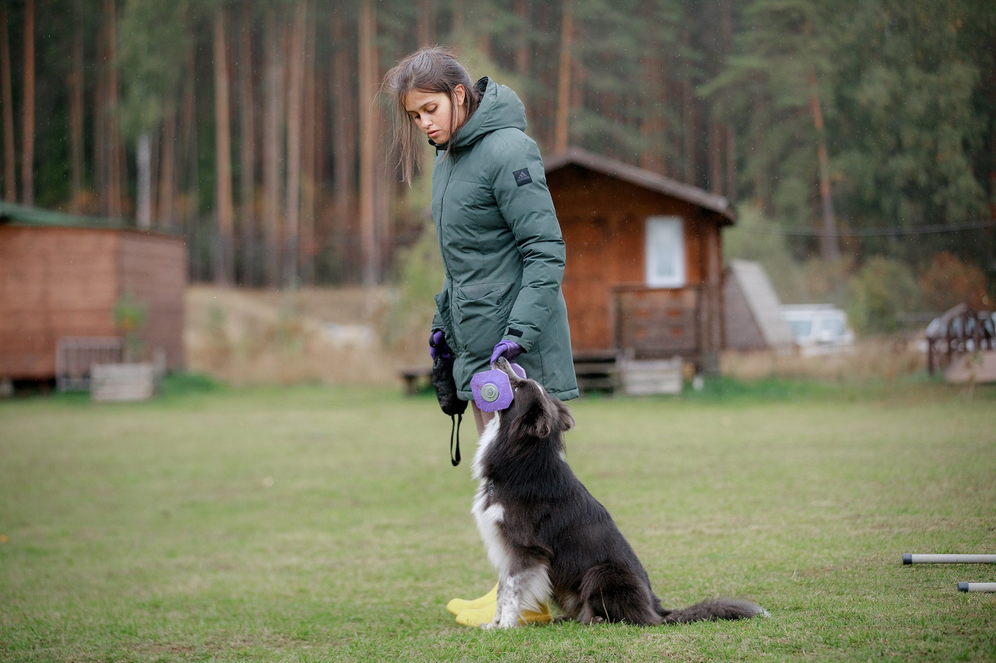 Лагерь по ОБД с Инной Баженовой. Фотограф-анималист Mary Mart — Москва, Питер