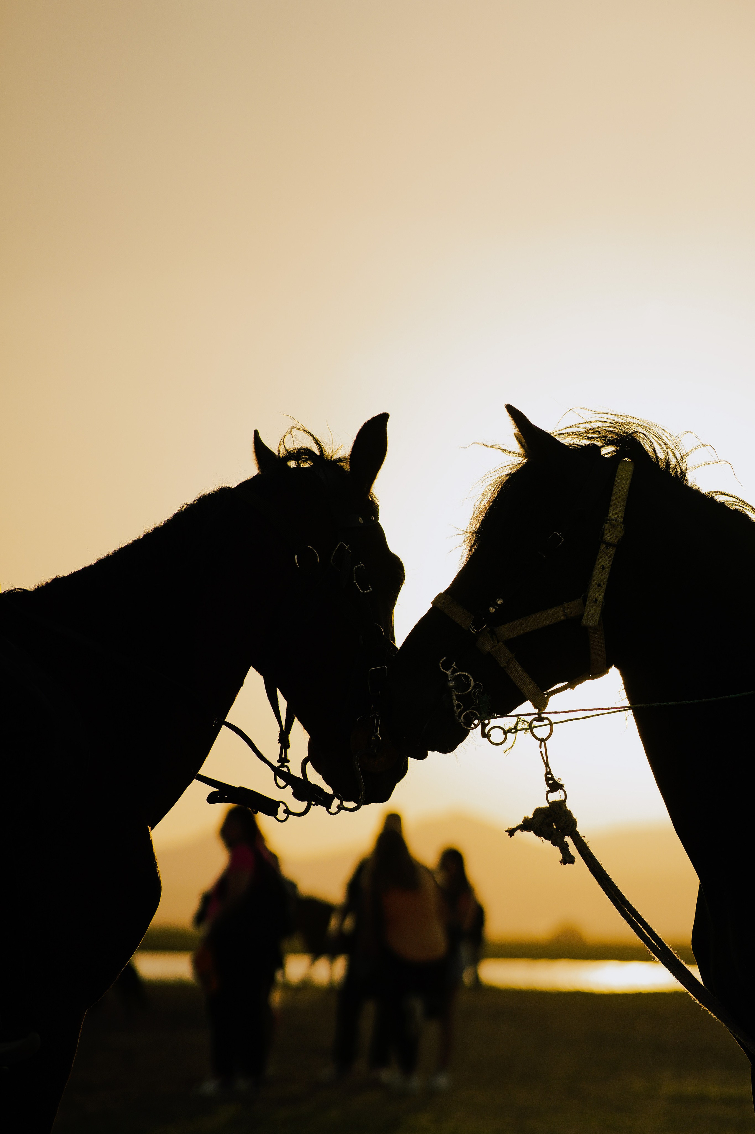 Каппадокия / Фото-тур