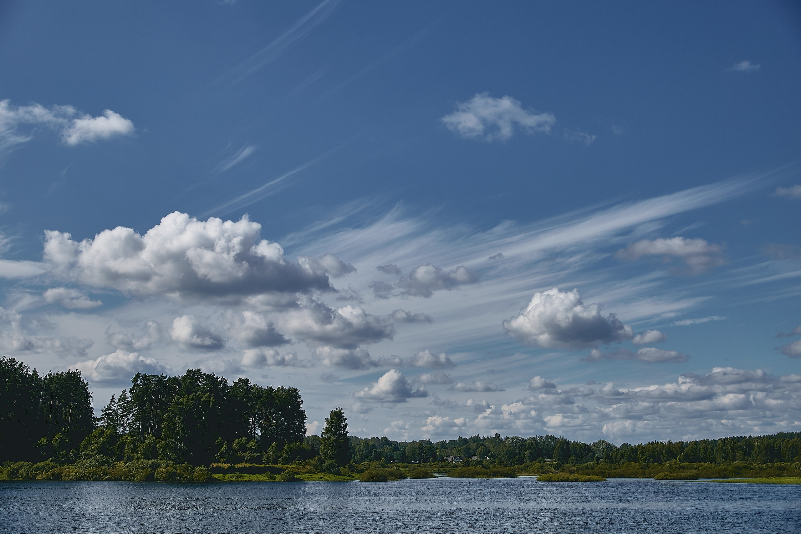 Пушкинские горы. Юлия Иванова. Фотограф для лучших моментов
