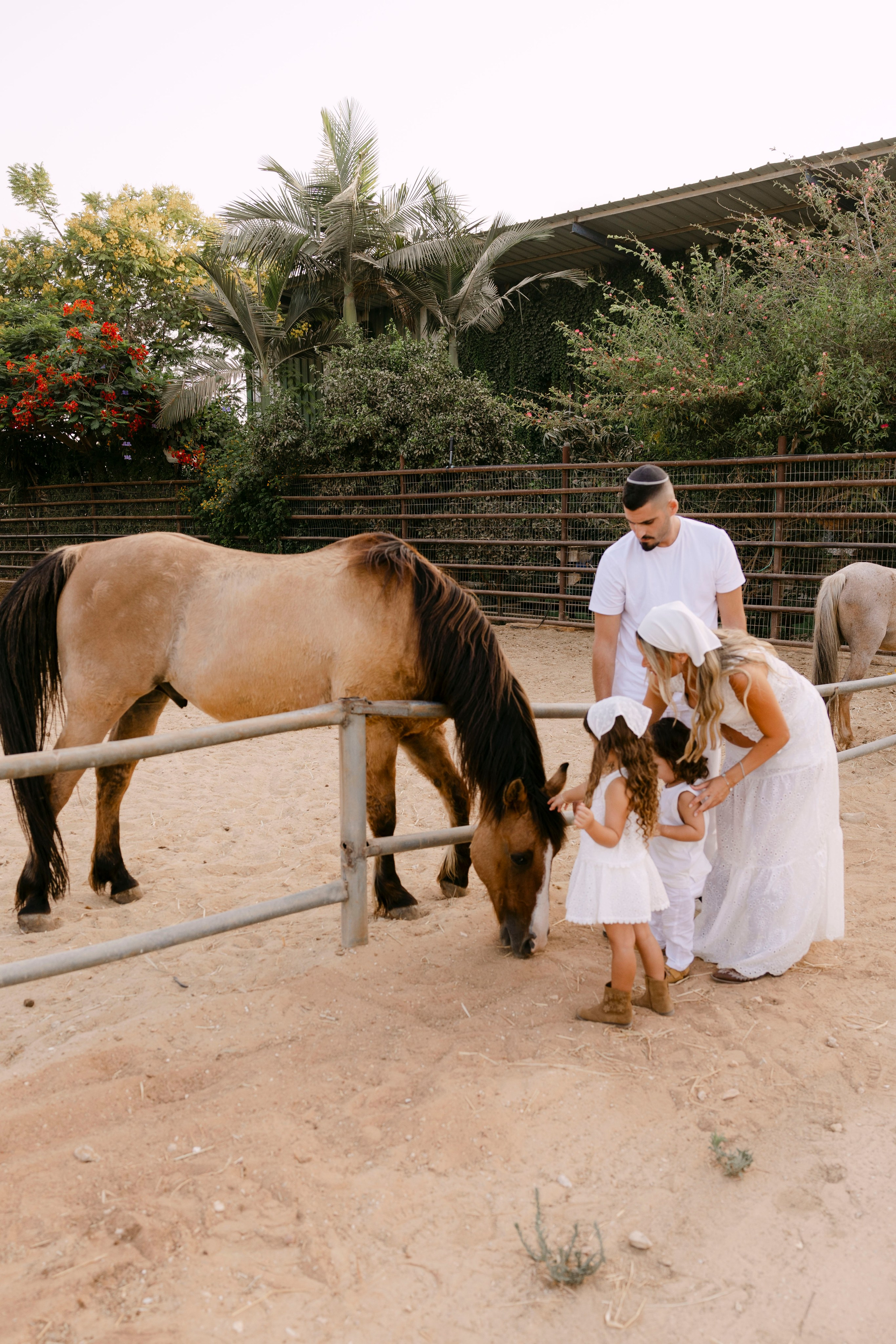 Pregnancy photoshoot at the horse farm. Главная