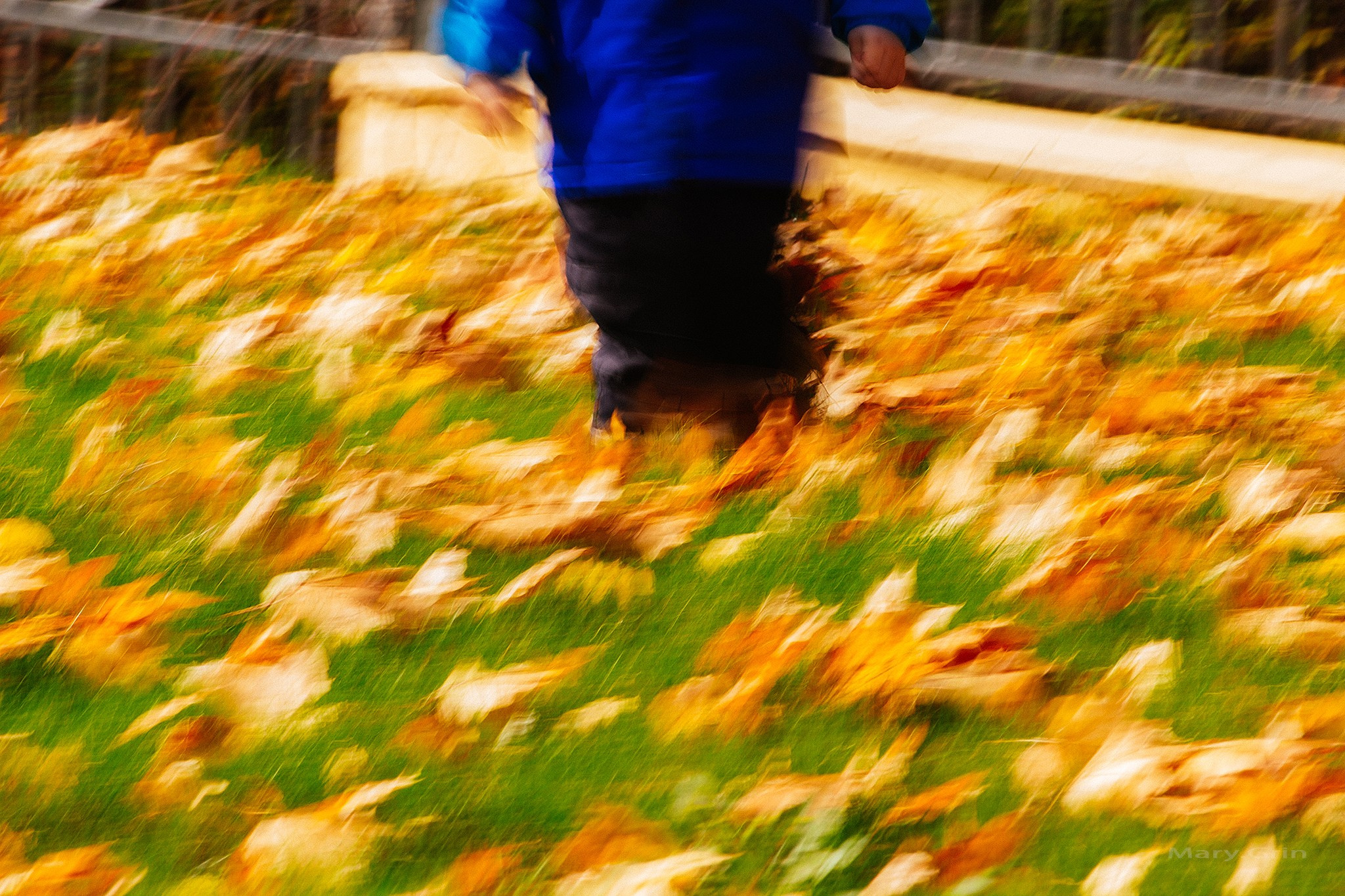 В парке. Детский и семейный фотограф, фотограф мероприятий Нижний Новгород