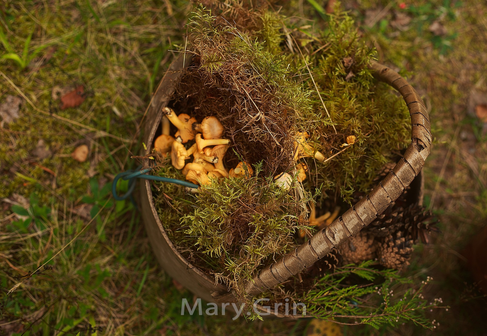 Русская деревня. Детский и семейный фотограф, фотограф мероприятий Нижний Новгород