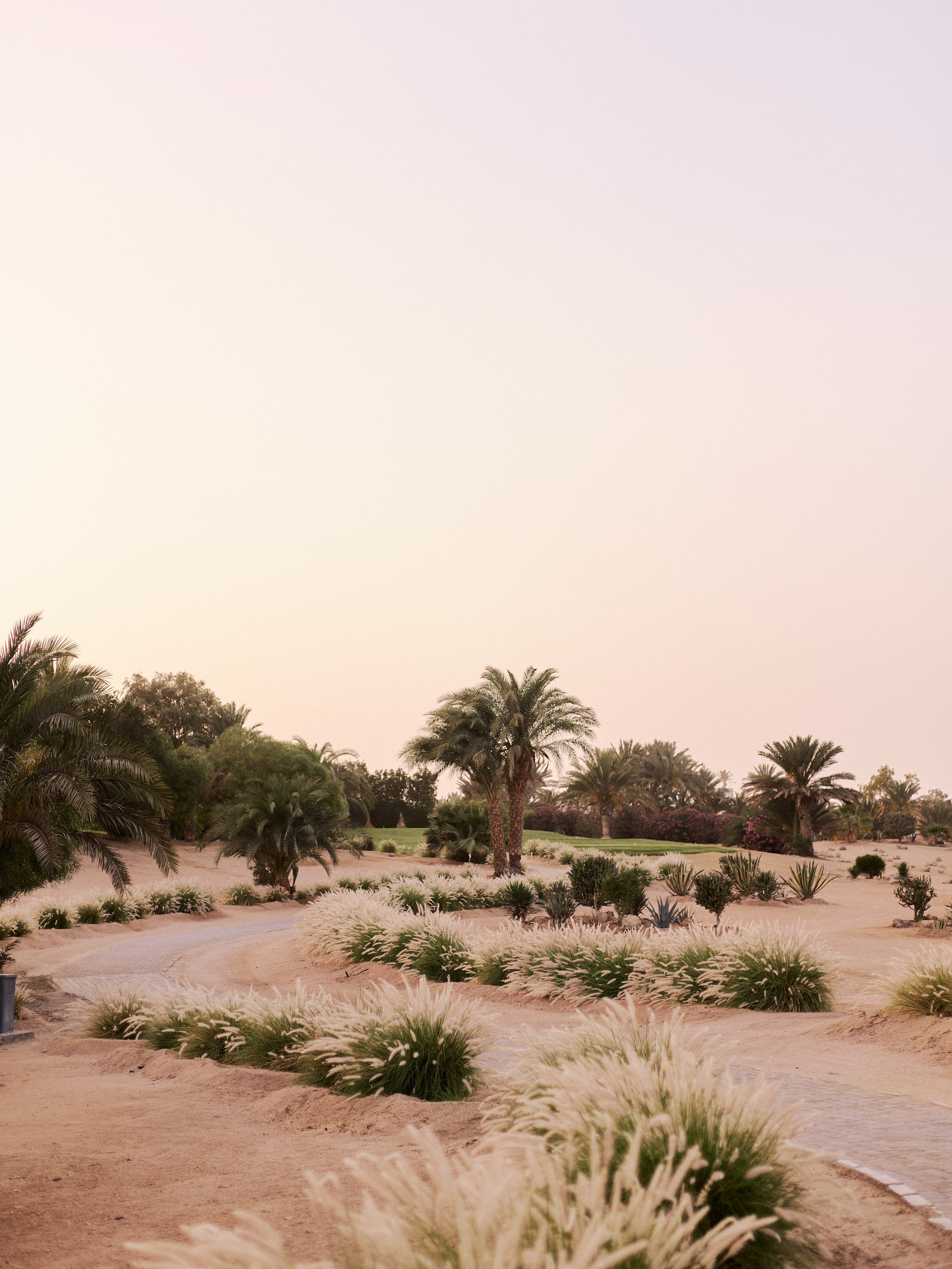 Диптих. Jorgis — фотограф в Хургаде / обучение фотографии