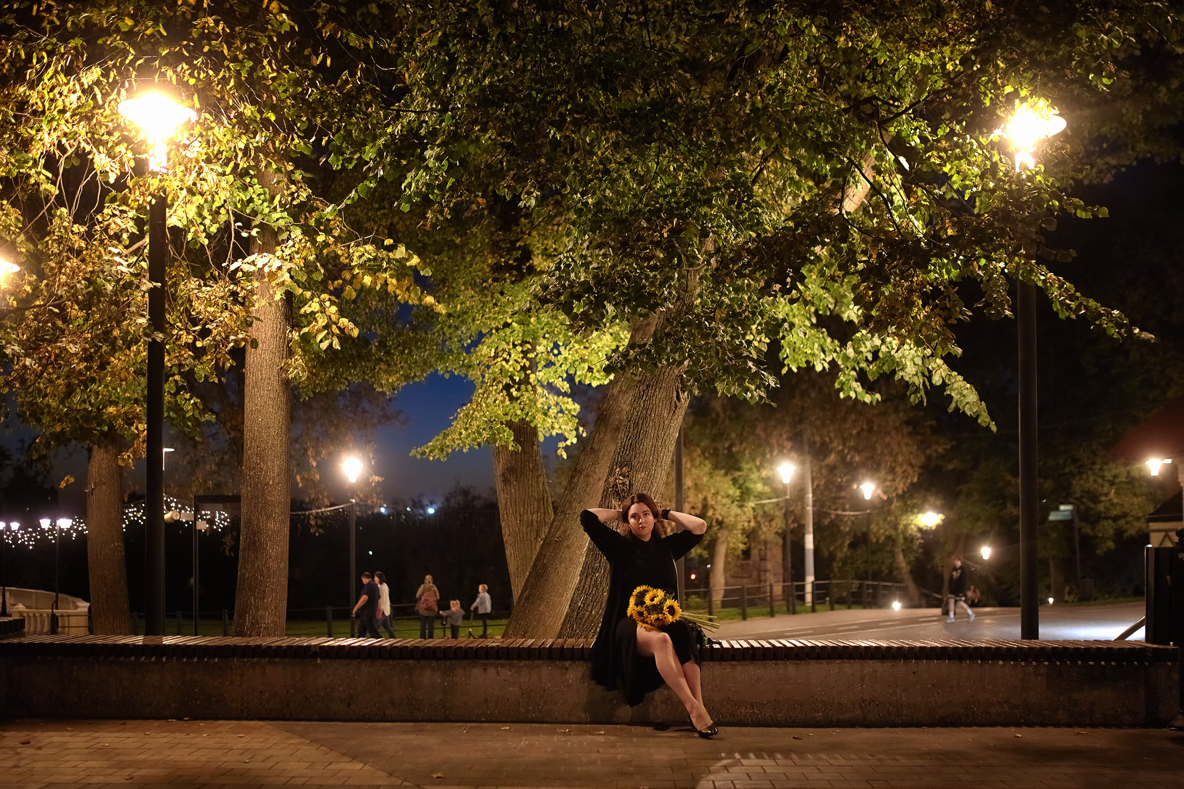 Сентябрьские подсолнухи. Фотограф Роман Желтухин