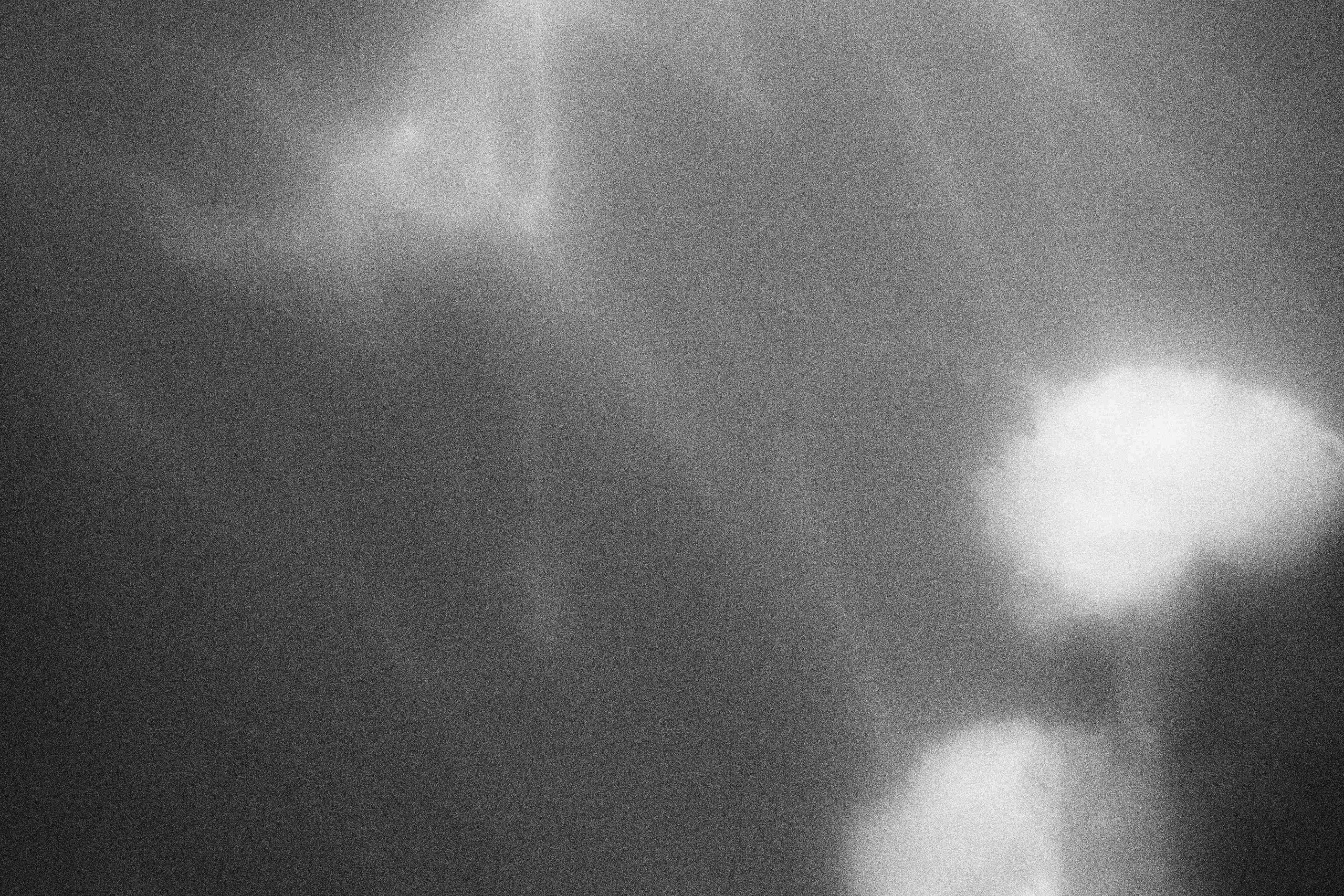 «Видеть. Чувствовать. Сохранять»