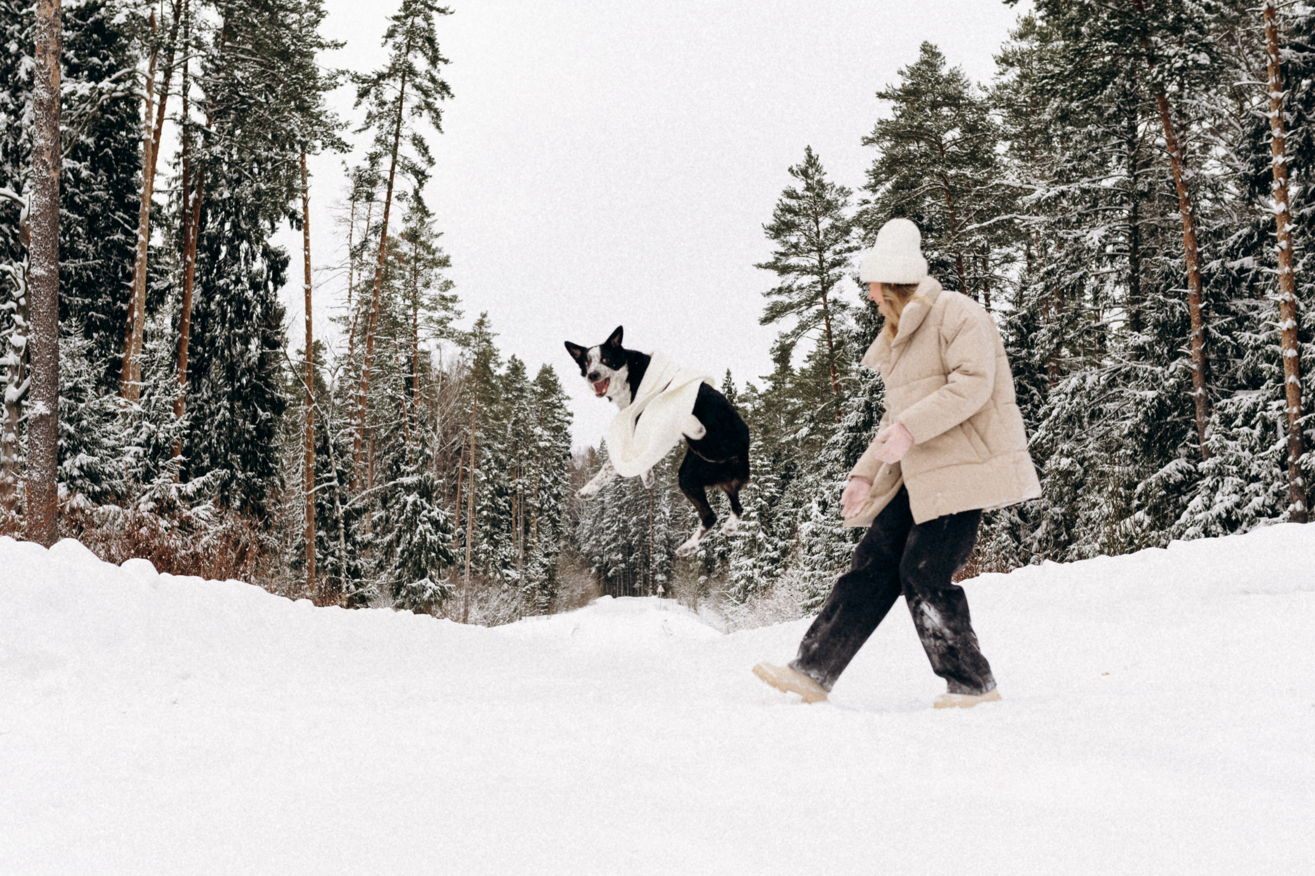 Аня и Милан. Фотограф анималист в Москве Ольга Агушева