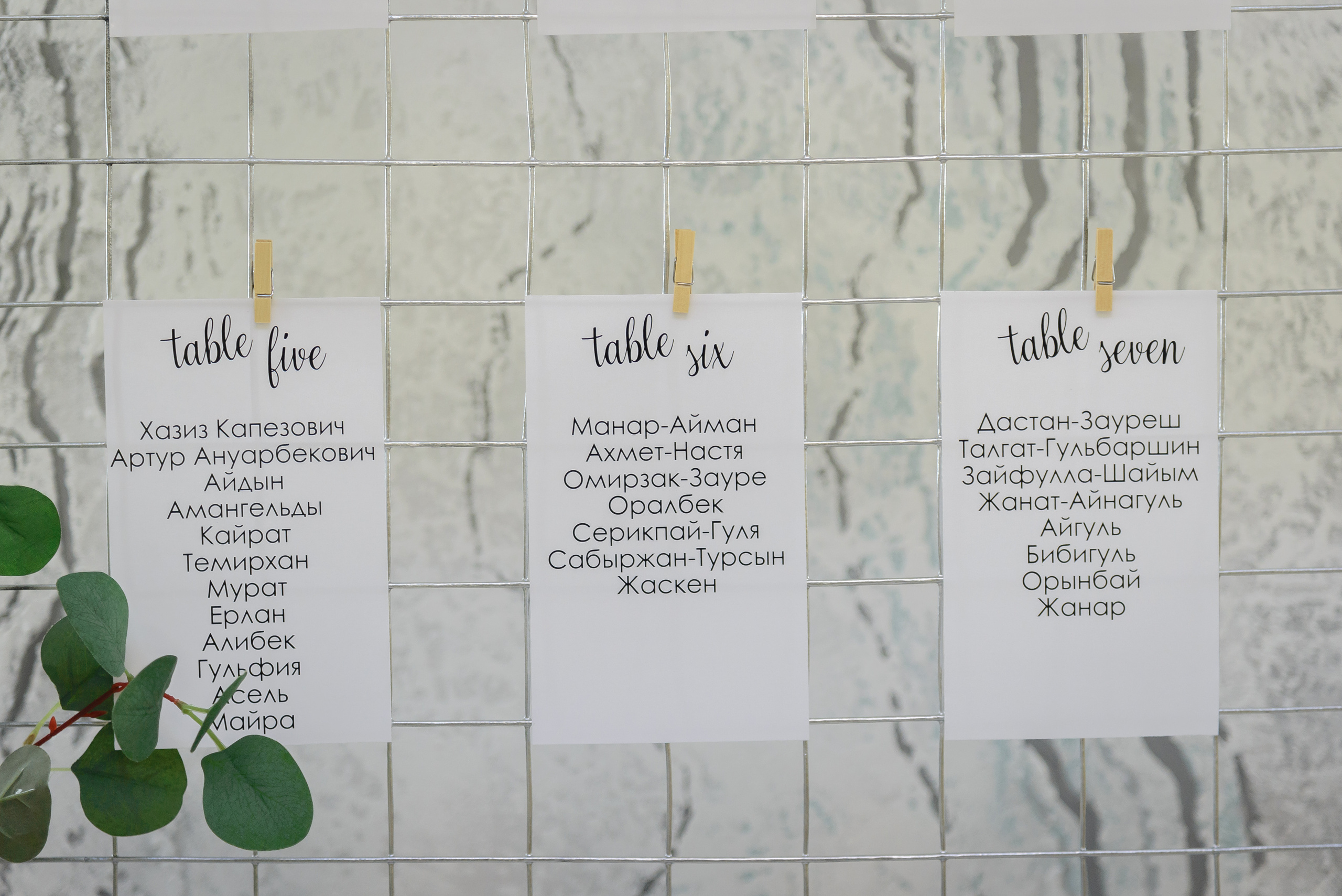 ZARINA QUZ-UZATU. Ельжан Куттыгожин