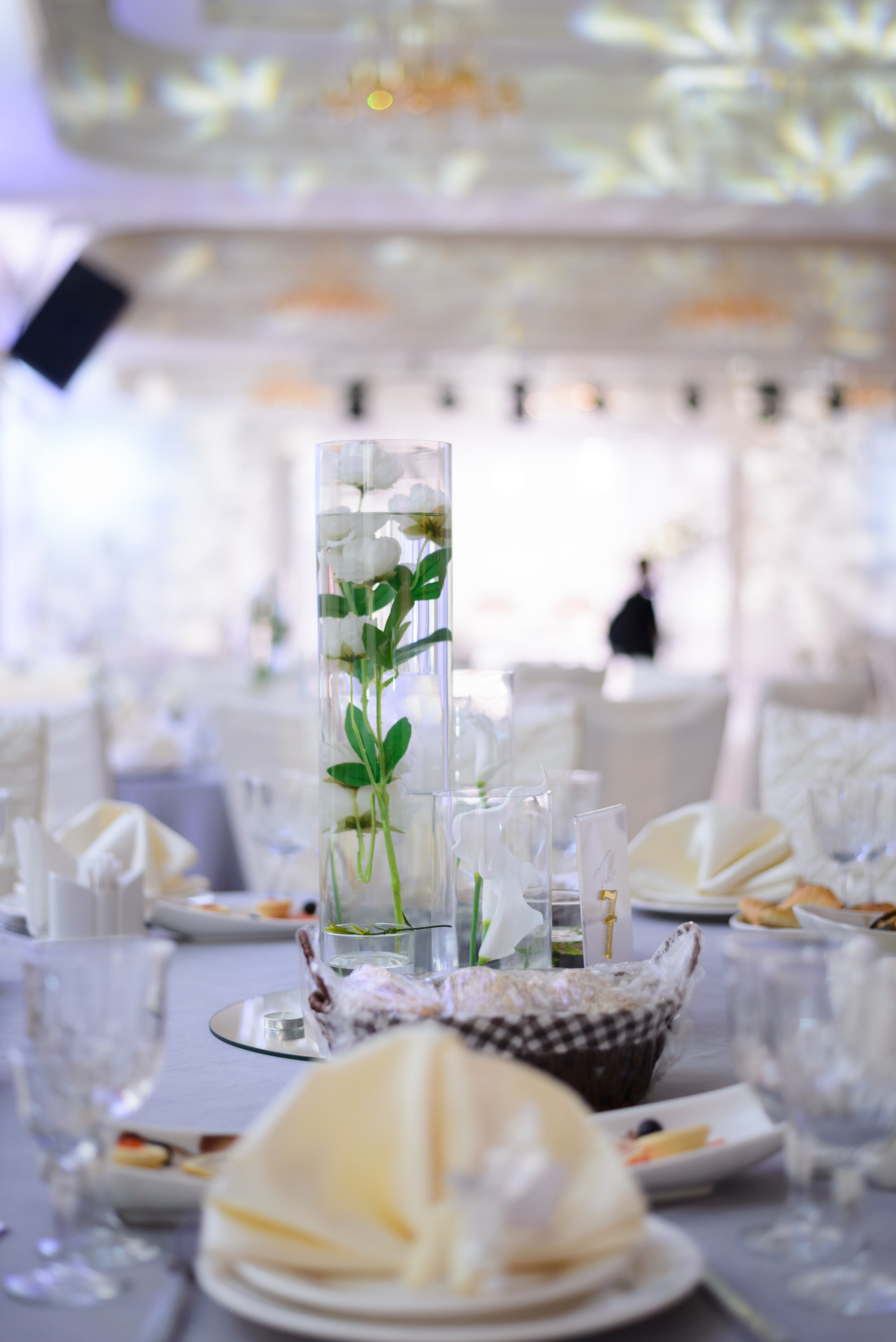 ZARINA QUZ-UZATU. Ельжан Куттыгожин