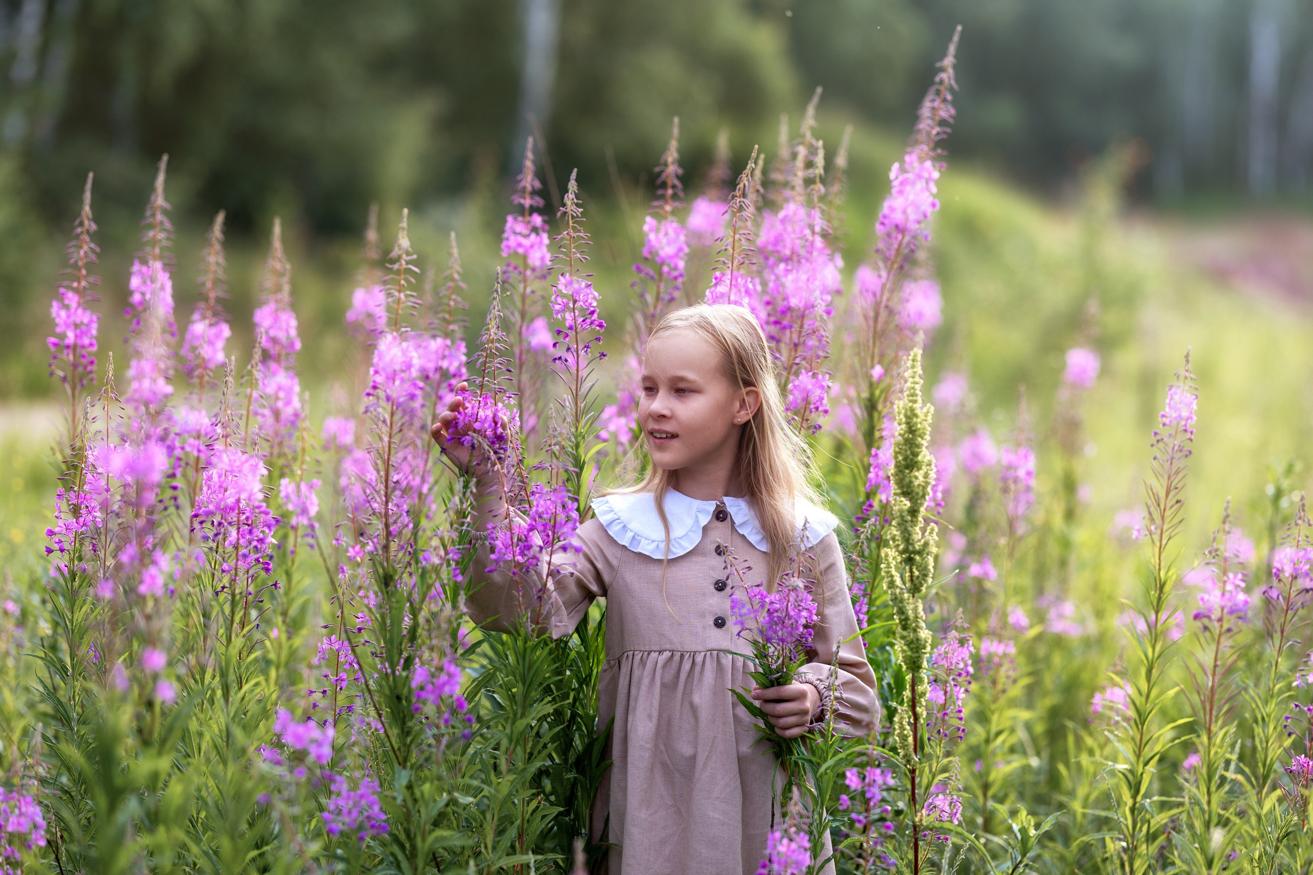 Цветущие поля. Семейный и детский фотограф в Красноярске, Дивногорцева Светлана